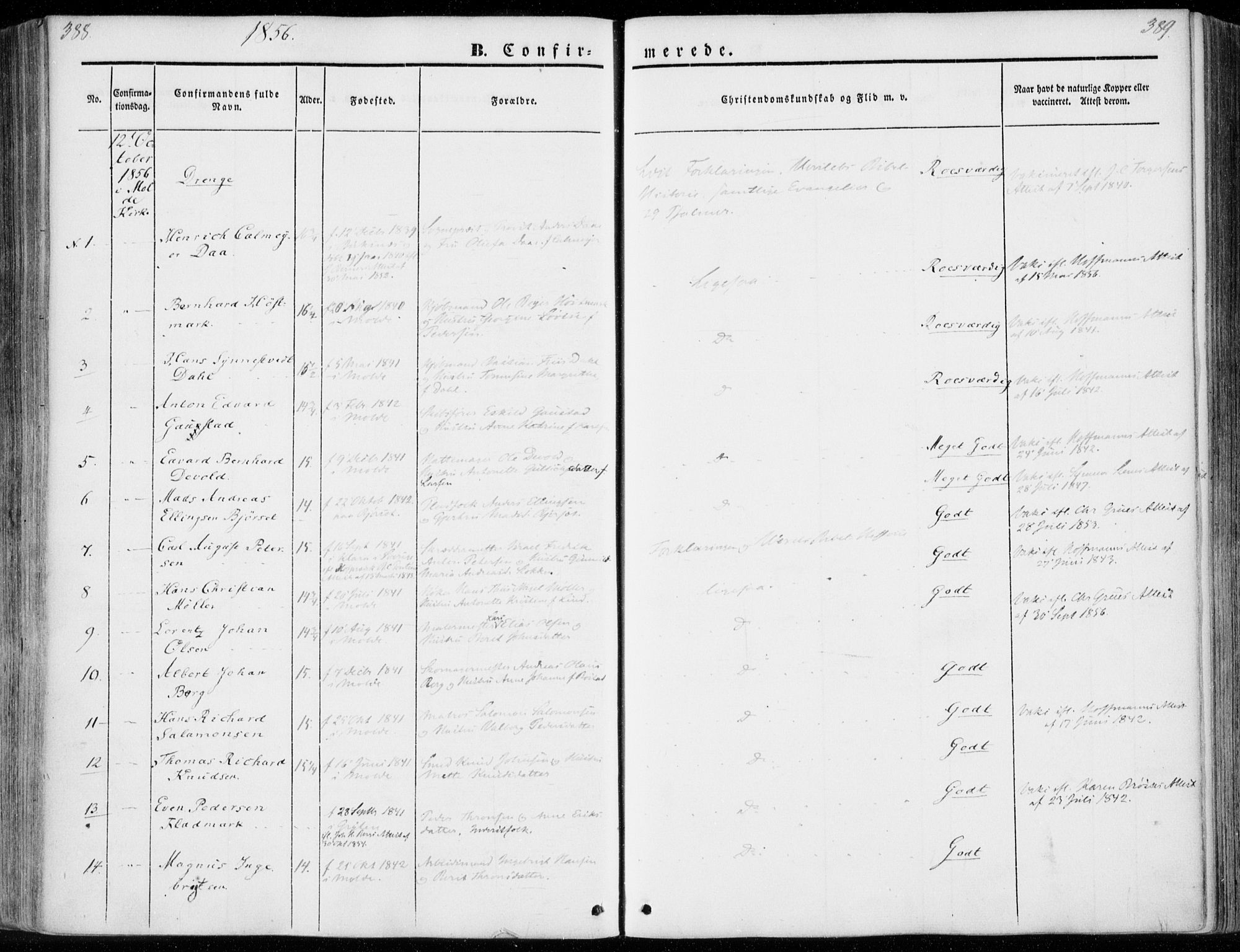 Ministerialprotokoller, klokkerbøker og fødselsregistre - Møre og Romsdal, SAT/A-1454/558/L0689: Ministerialbok nr. 558A03, 1843-1872, s. 388-389