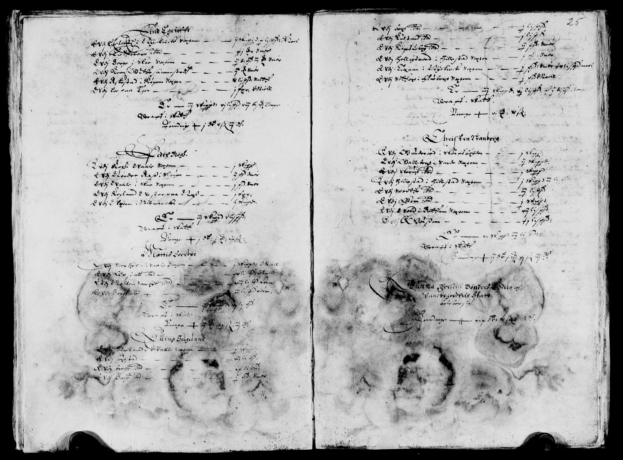 Rentekammeret inntil 1814, Reviderte regnskaper, Lensregnskaper, AV/RA-EA-5023/R/Rb/Rbo/L0017: Tønsberg len, 1636-1638