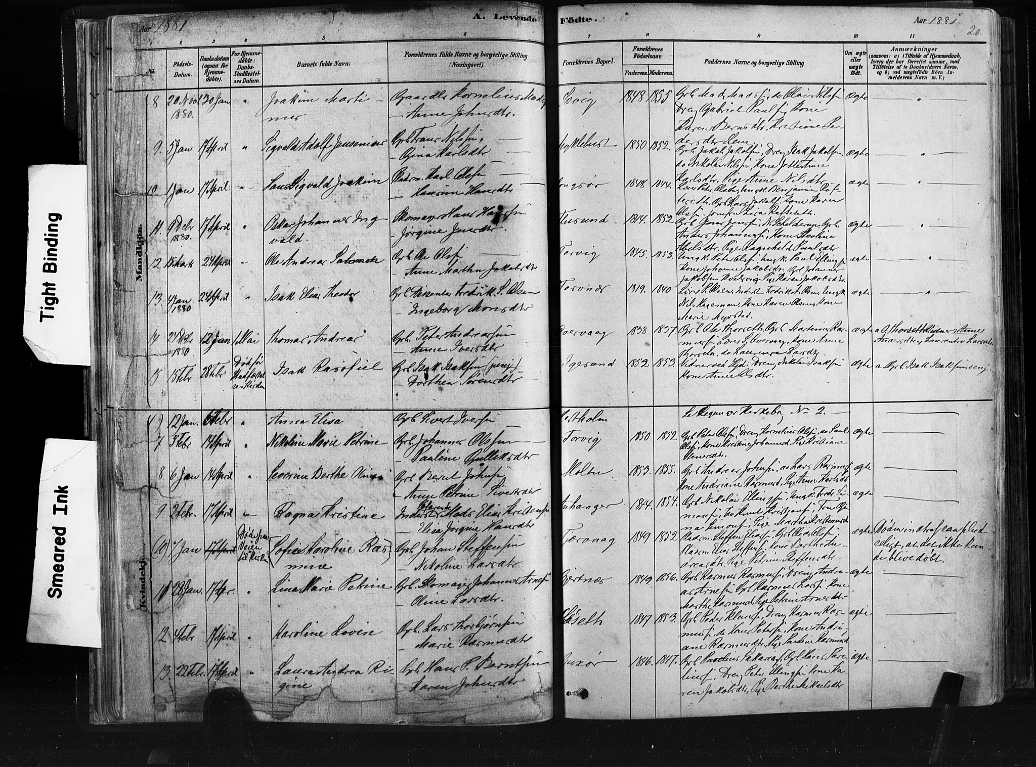 Ministerialprotokoller, klokkerbøker og fødselsregistre - Møre og Romsdal, AV/SAT-A-1454/507/L0073: Ministerialbok nr. 507A08, 1878-1904, s. 20