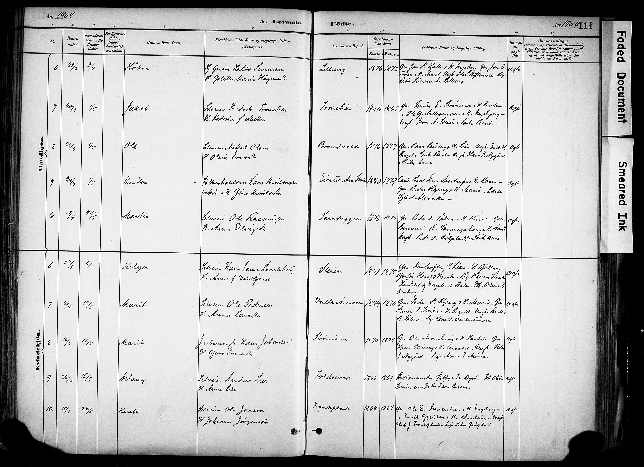 Alvdal prestekontor, SAH/PREST-060/H/Ha/Haa/L0002: Ministerialbok nr. 2, 1883-1906, s. 114