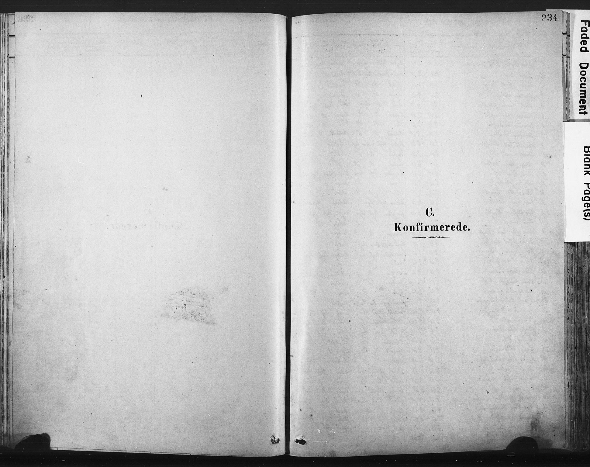 Lista sokneprestkontor, SAK/1111-0027/F/Fa/L0012: Ministerialbok nr. A 12, 1879-1903, s. 234