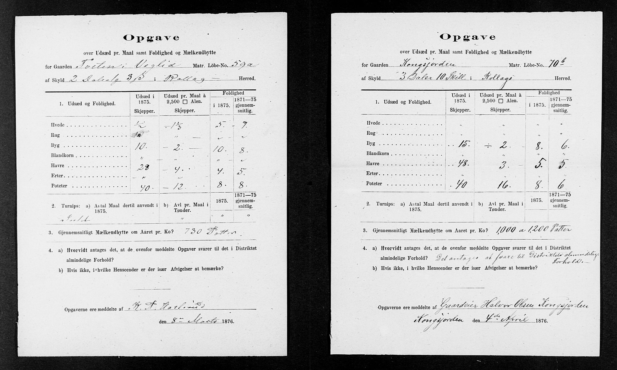 Statistisk sentralbyrå, Næringsøkonomiske emner, Generelt - Amtmennenes femårsberetninger, AV/RA-S-2233/F/Fa/L0036: --, 1875, s. 25