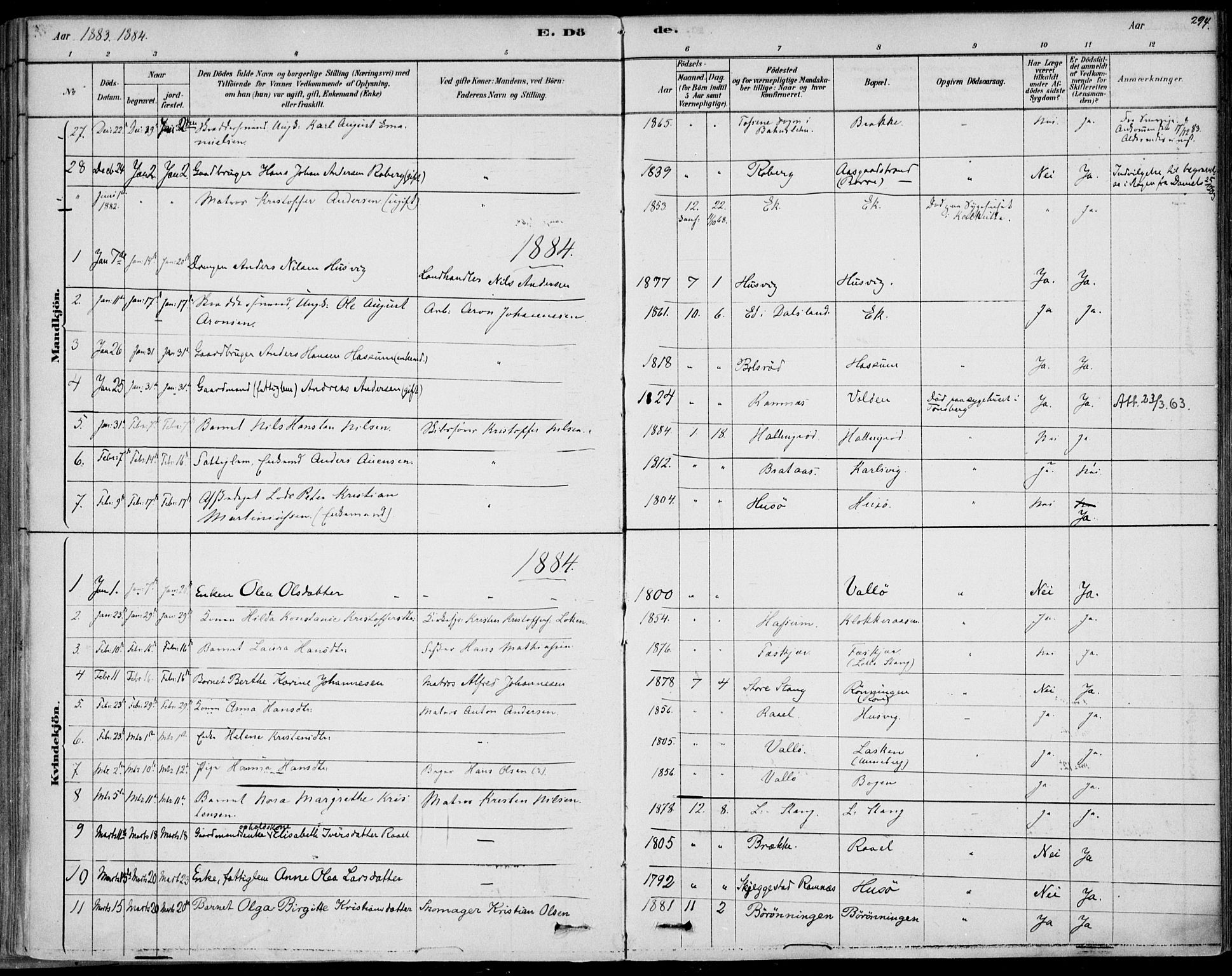 Sem kirkebøker, AV/SAKO-A-5/F/Fb/L0004: Ministerialbok nr. II 4, 1878-1891, s. 294
