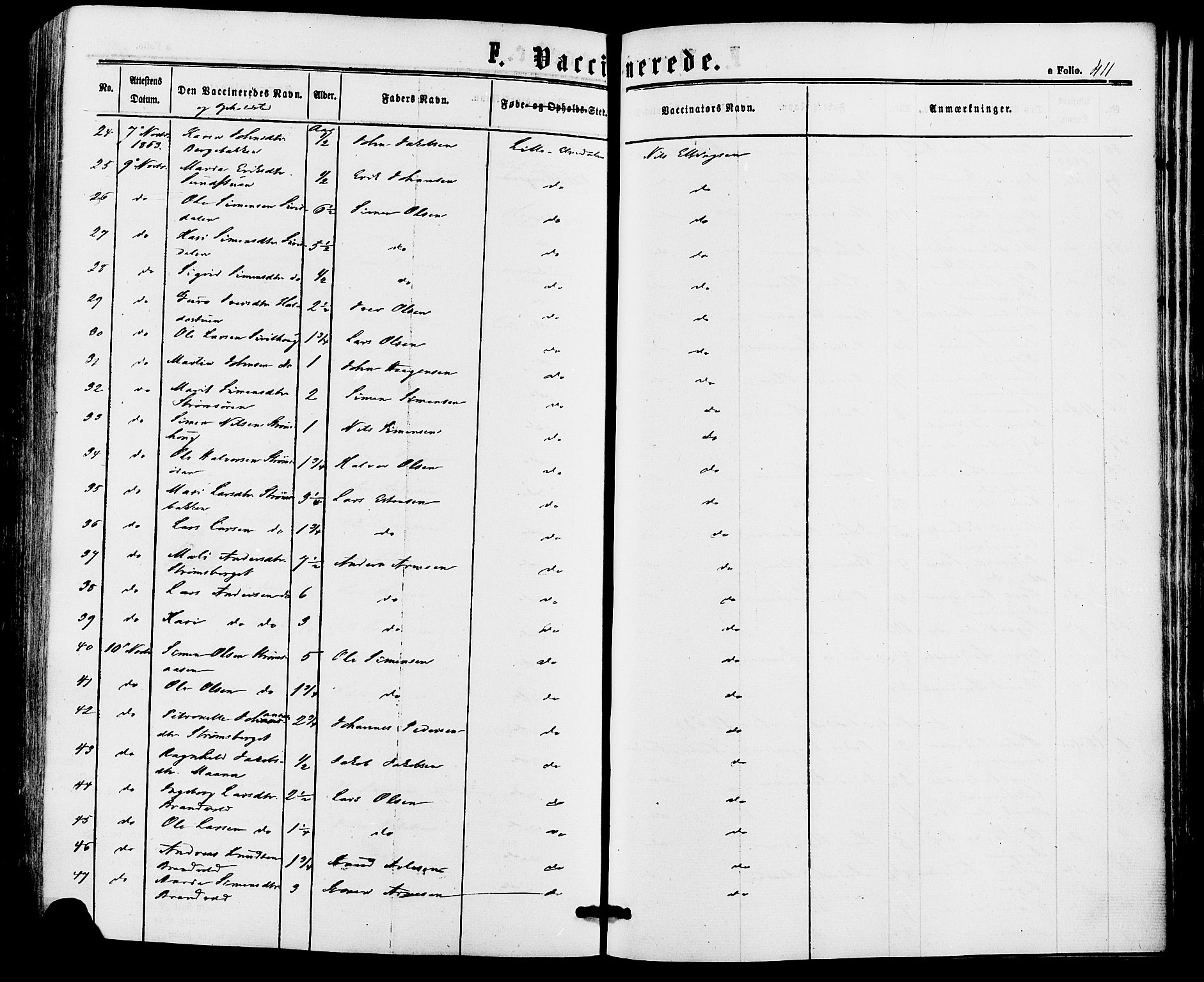 Alvdal prestekontor, AV/SAH-PREST-060/H/Ha/Haa/L0001: Ministerialbok nr. 1, 1863-1882, s. 411