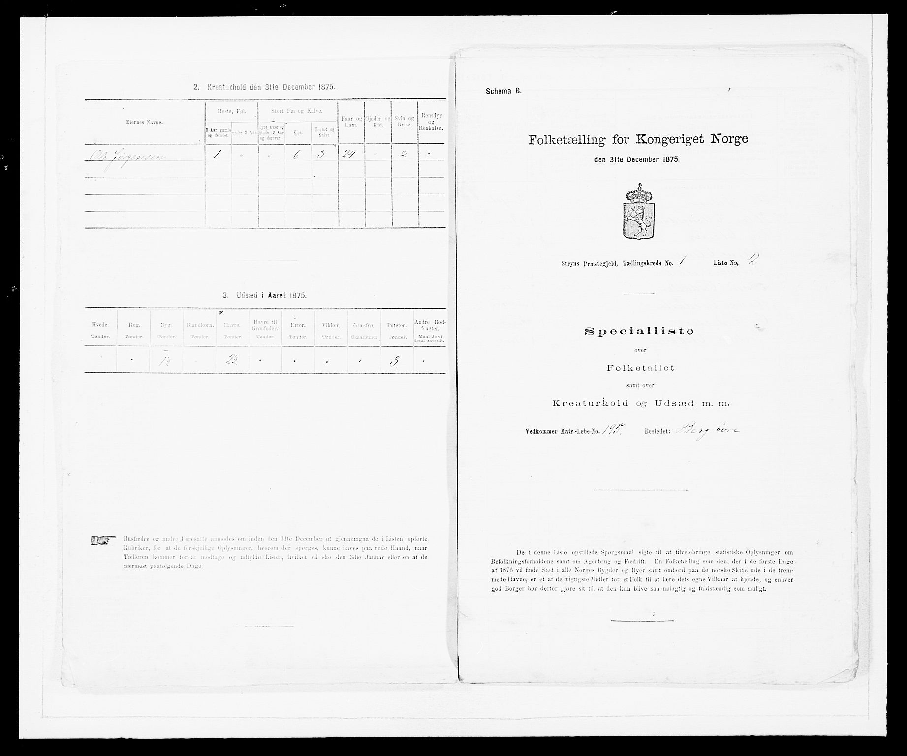 SAB, Folketelling 1875 for 1448P Stryn prestegjeld, 1875, s. 38