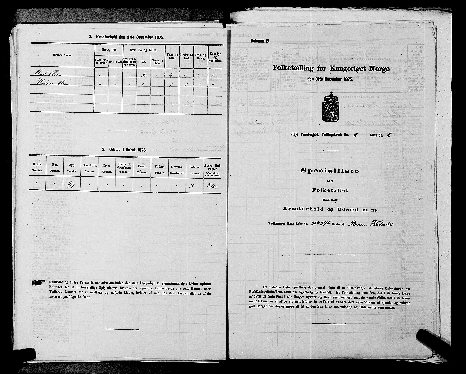 SAKO, Folketelling 1875 for 0834P Vinje prestegjeld, 1875, s. 217