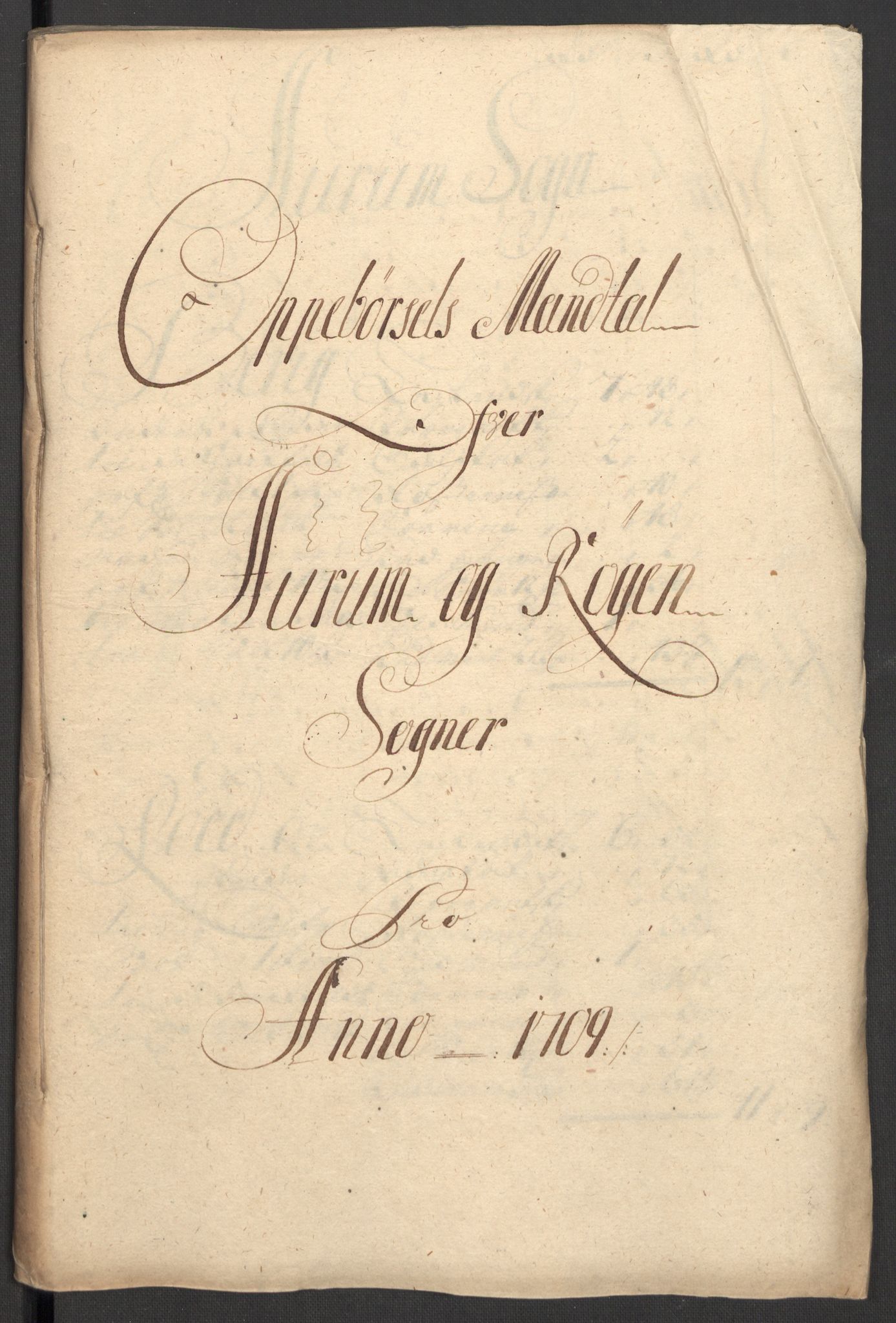 Rentekammeret inntil 1814, Reviderte regnskaper, Fogderegnskap, AV/RA-EA-4092/R31/L1703: Fogderegnskap Hurum, Røyken, Eiker, Lier og Buskerud, 1709, s. 80