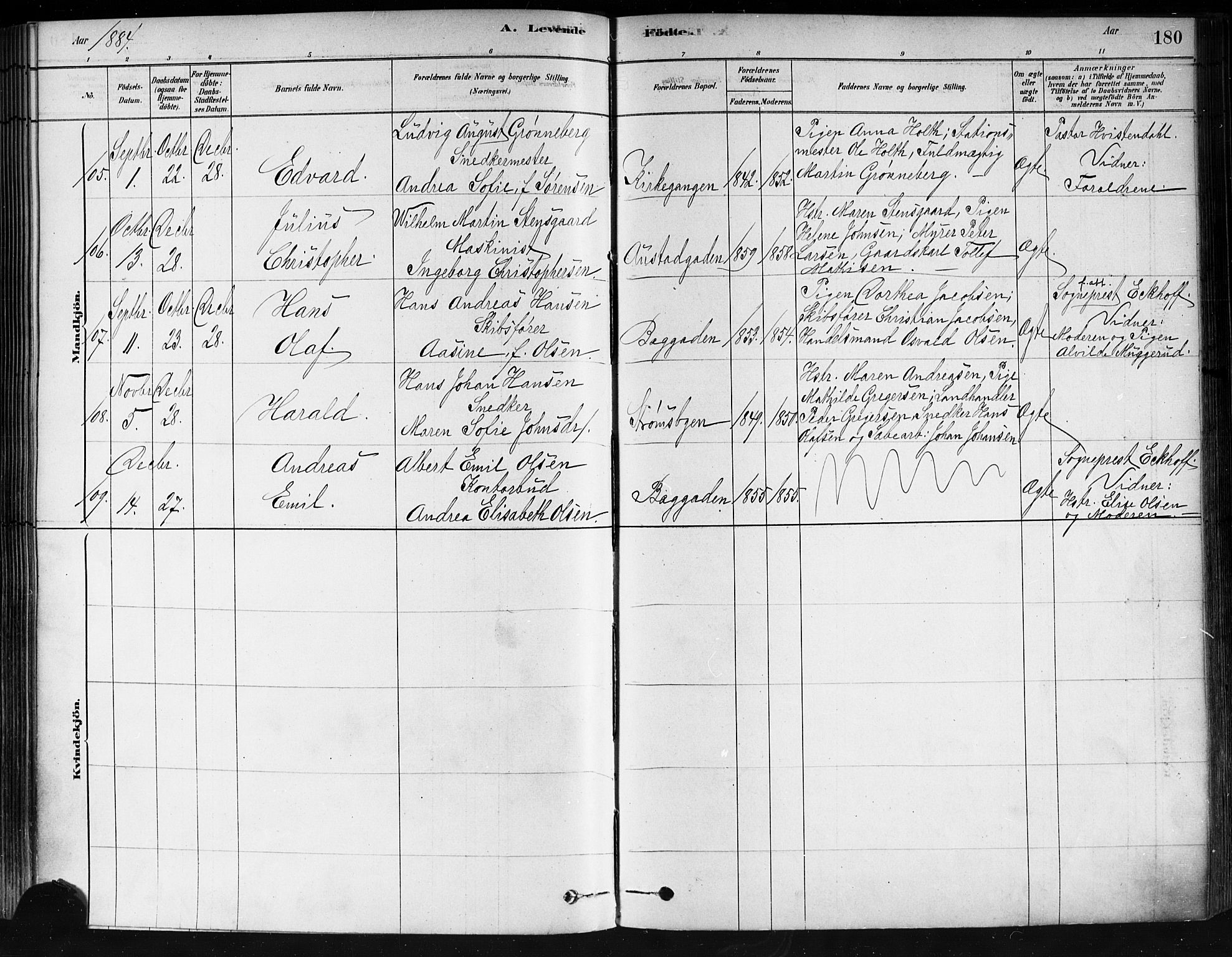 Strømsø kirkebøker, AV/SAKO-A-246/F/Fa/L0021: Ministerialbok nr. I 21, 1878-1885, s. 180