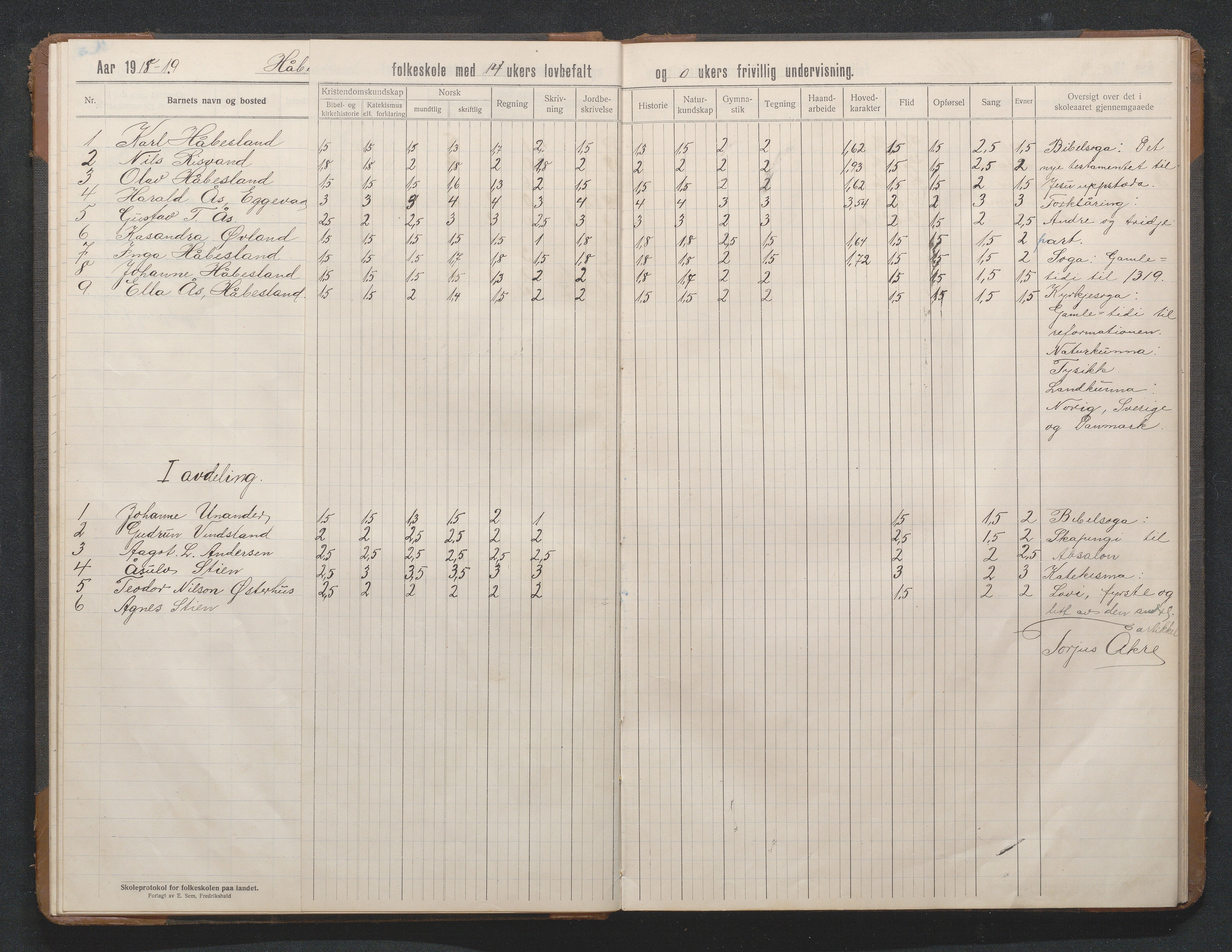 Birkenes kommune, Håbesland, Holte og Rislå skolekretser frem til 1991, AAKS/KA0928-550c_91/F02/L0003: Skoleprotokoll Håbesland og Holte, 1913-1955