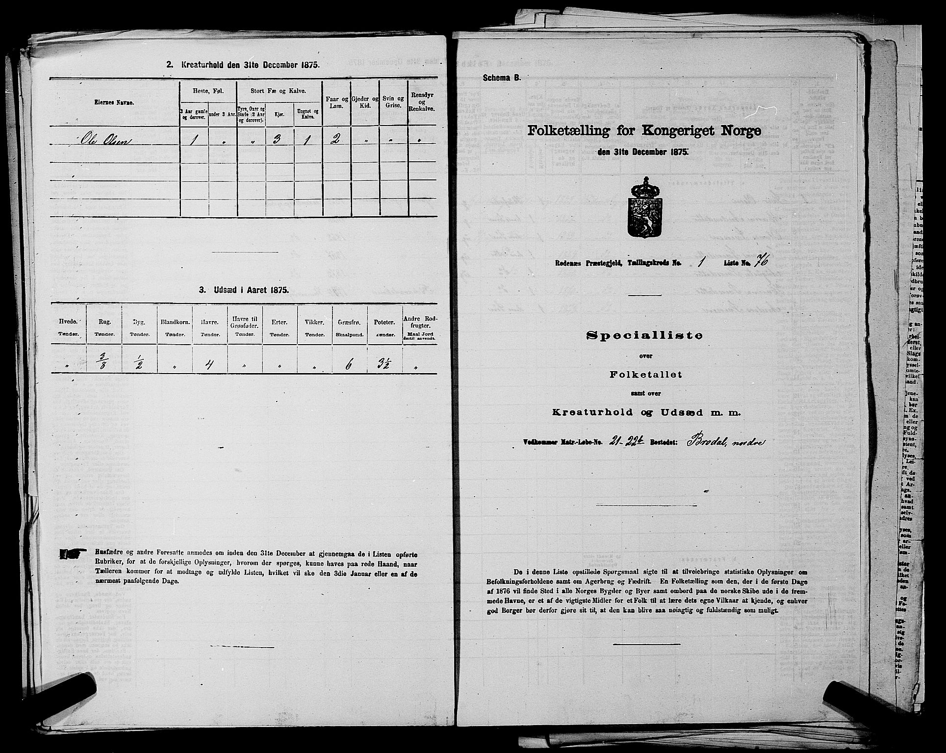 RA, Folketelling 1875 for 0120P Rødenes prestegjeld, 1875, s. 175