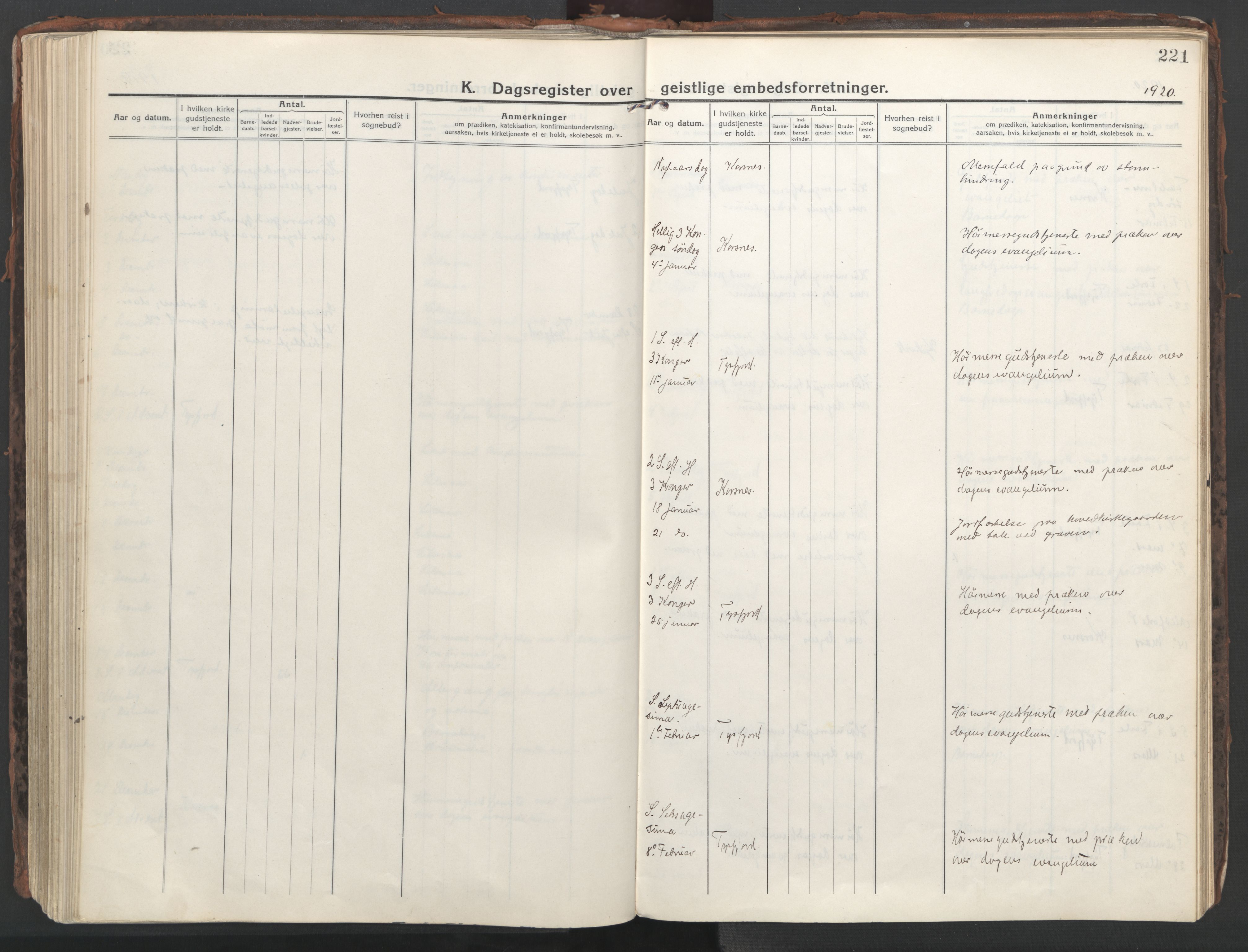 Ministerialprotokoller, klokkerbøker og fødselsregistre - Nordland, SAT/A-1459/861/L0872: Ministerialbok nr. 861A07, 1915-1924, s. 221