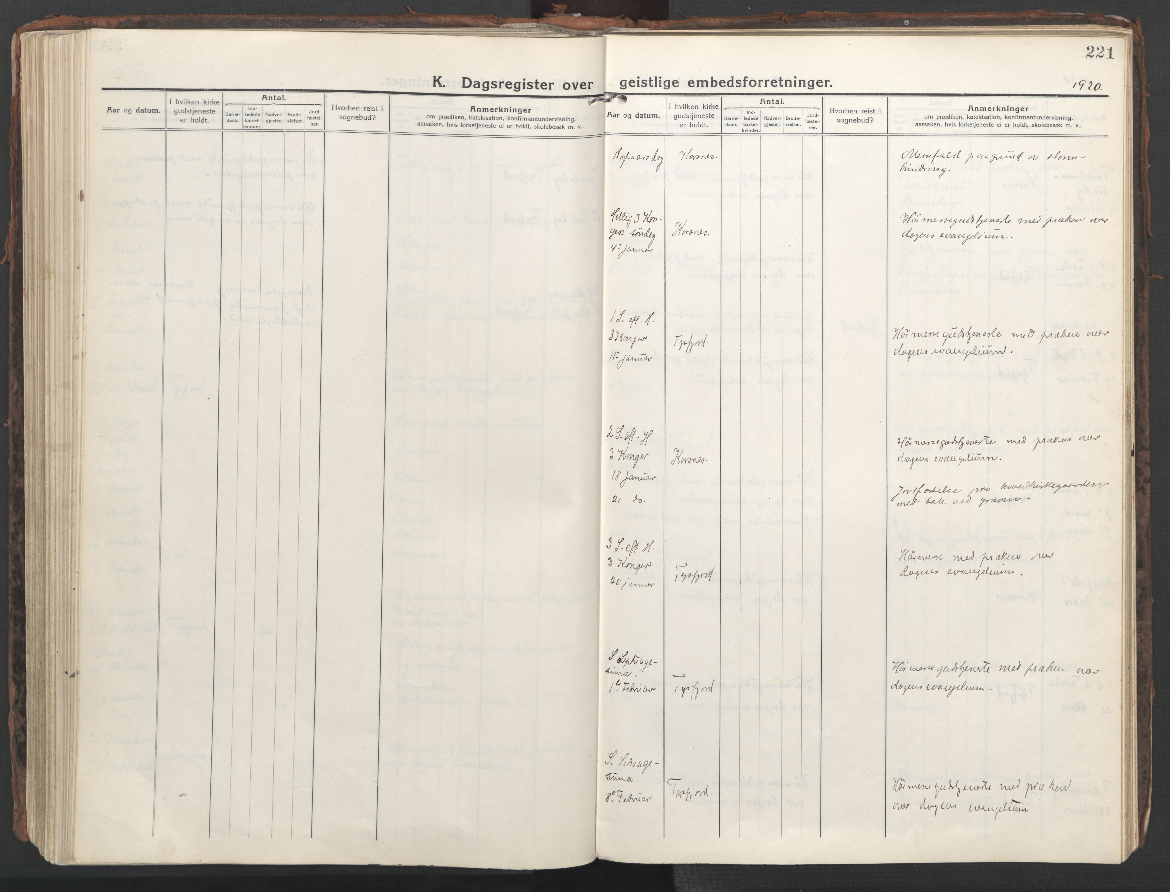 Ministerialprotokoller, klokkerbøker og fødselsregistre - Nordland, AV/SAT-A-1459/861/L0872: Ministerialbok nr. 861A07, 1915-1924, s. 221