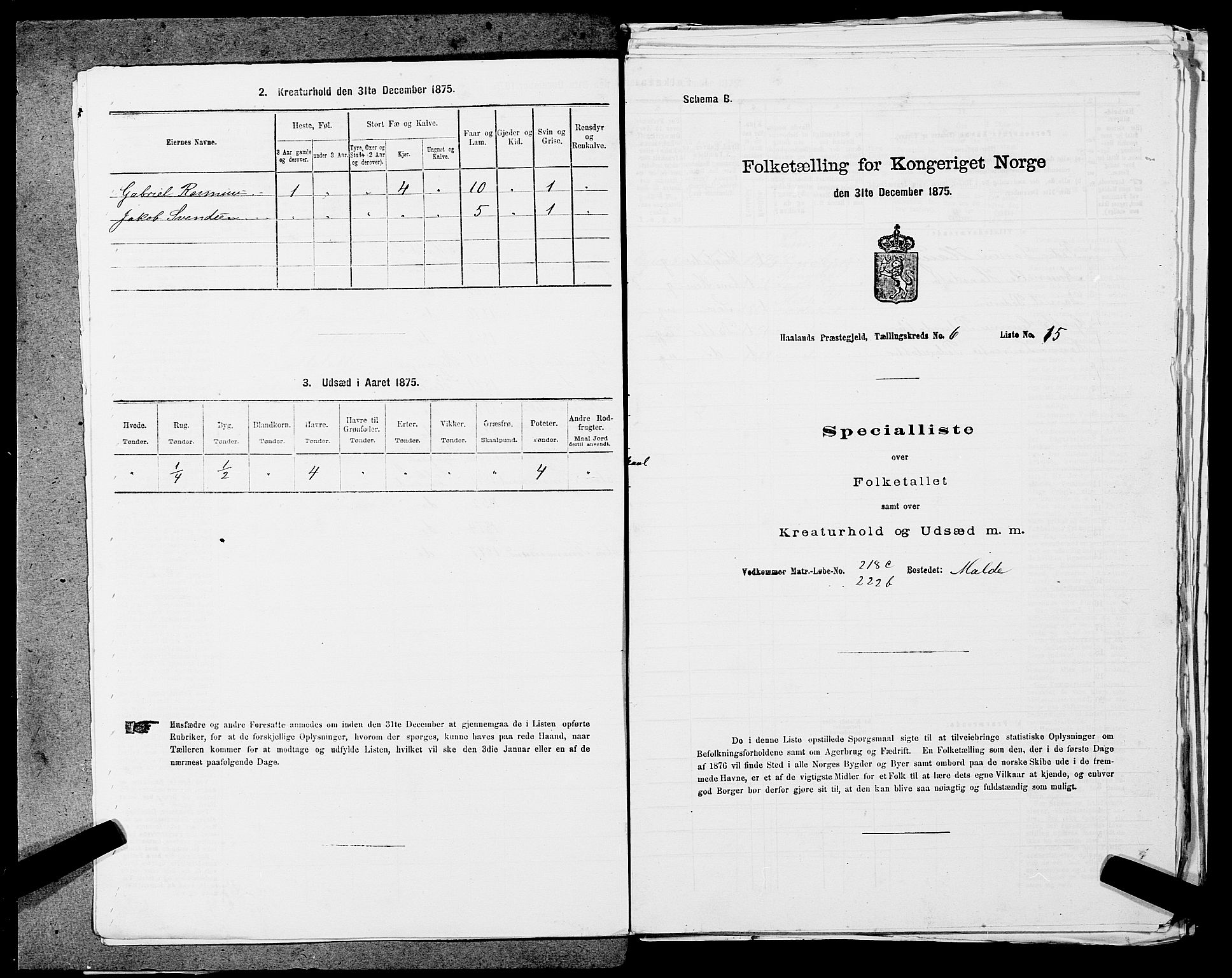 SAST, Folketelling 1875 for 1124P Håland prestegjeld, 1875, s. 898