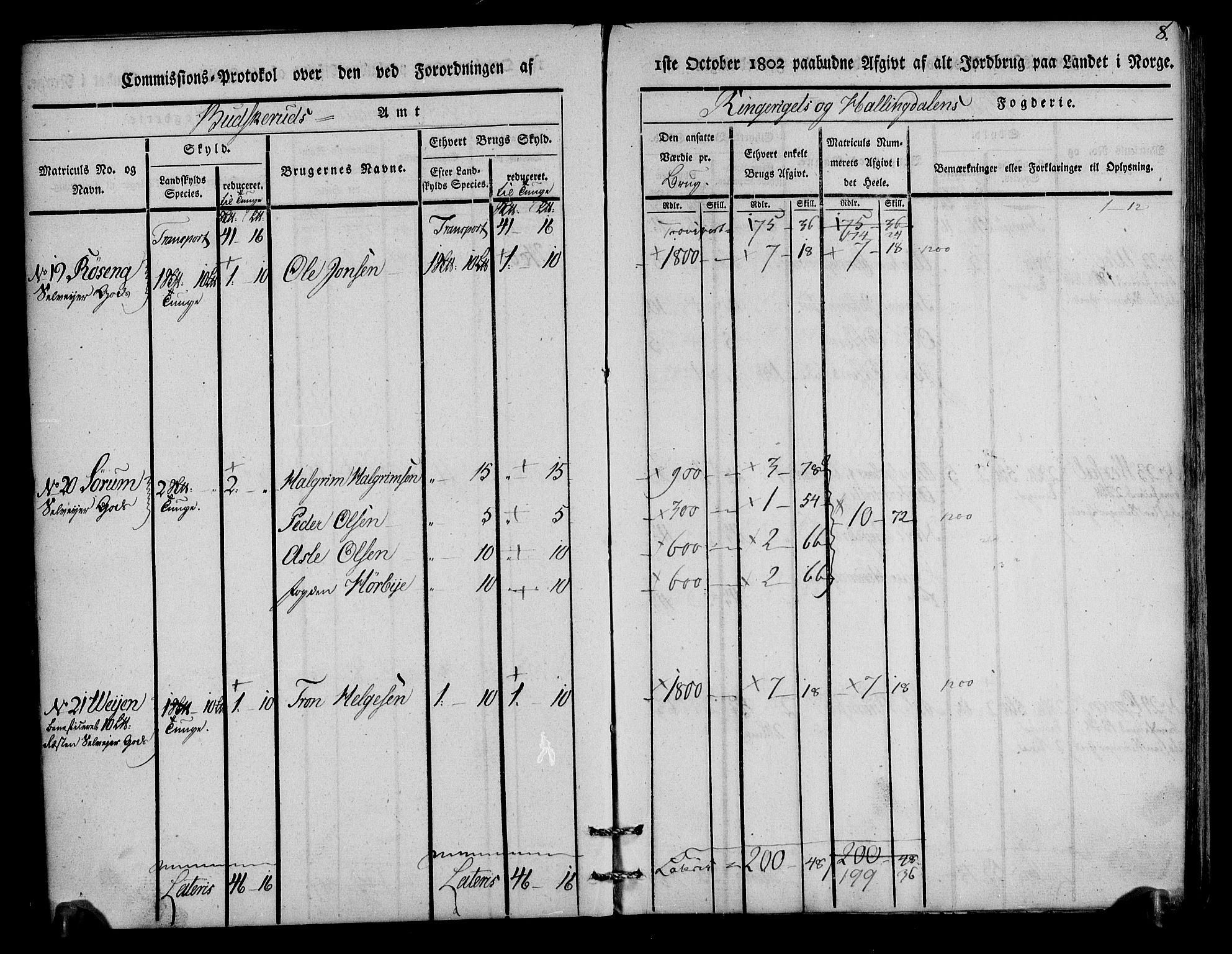 Rentekammeret inntil 1814, Realistisk ordnet avdeling, AV/RA-EA-4070/N/Ne/Nea/L0045: Ringerike og Hallingdal fogderi. Kommisjonsprotokoll for Norderhov prestegjeld, 1803, s. 9