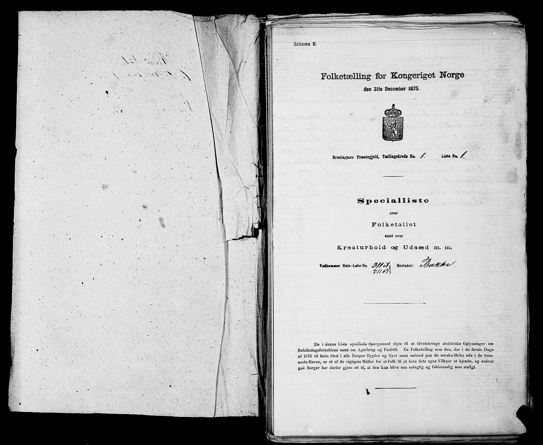 SAKO, Folketelling 1875 for 0726P Brunlanes prestegjeld, 1875, s. 63