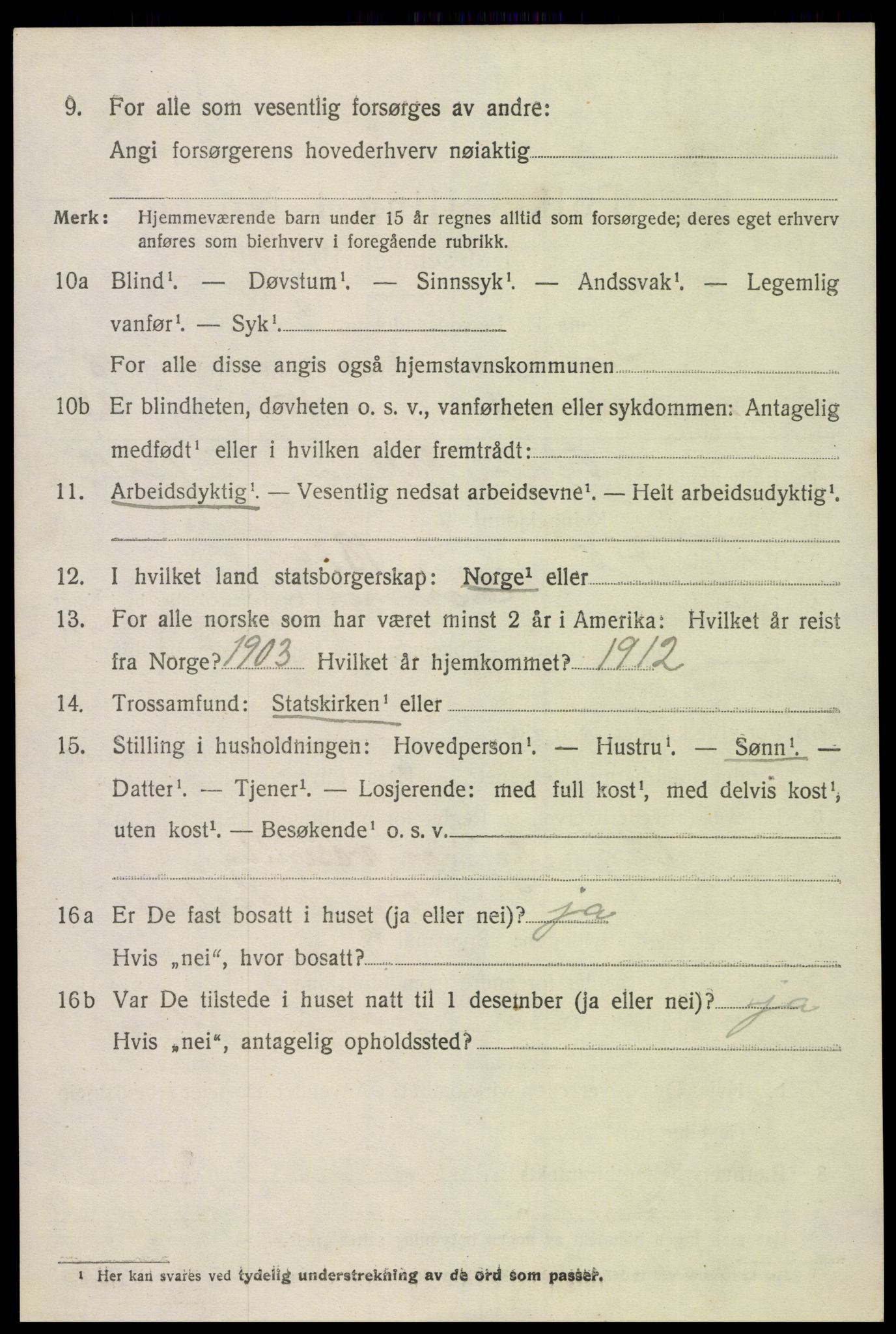 SAK, Folketelling 1920 for 0936 Hornnes herred, 1920, s. 1996