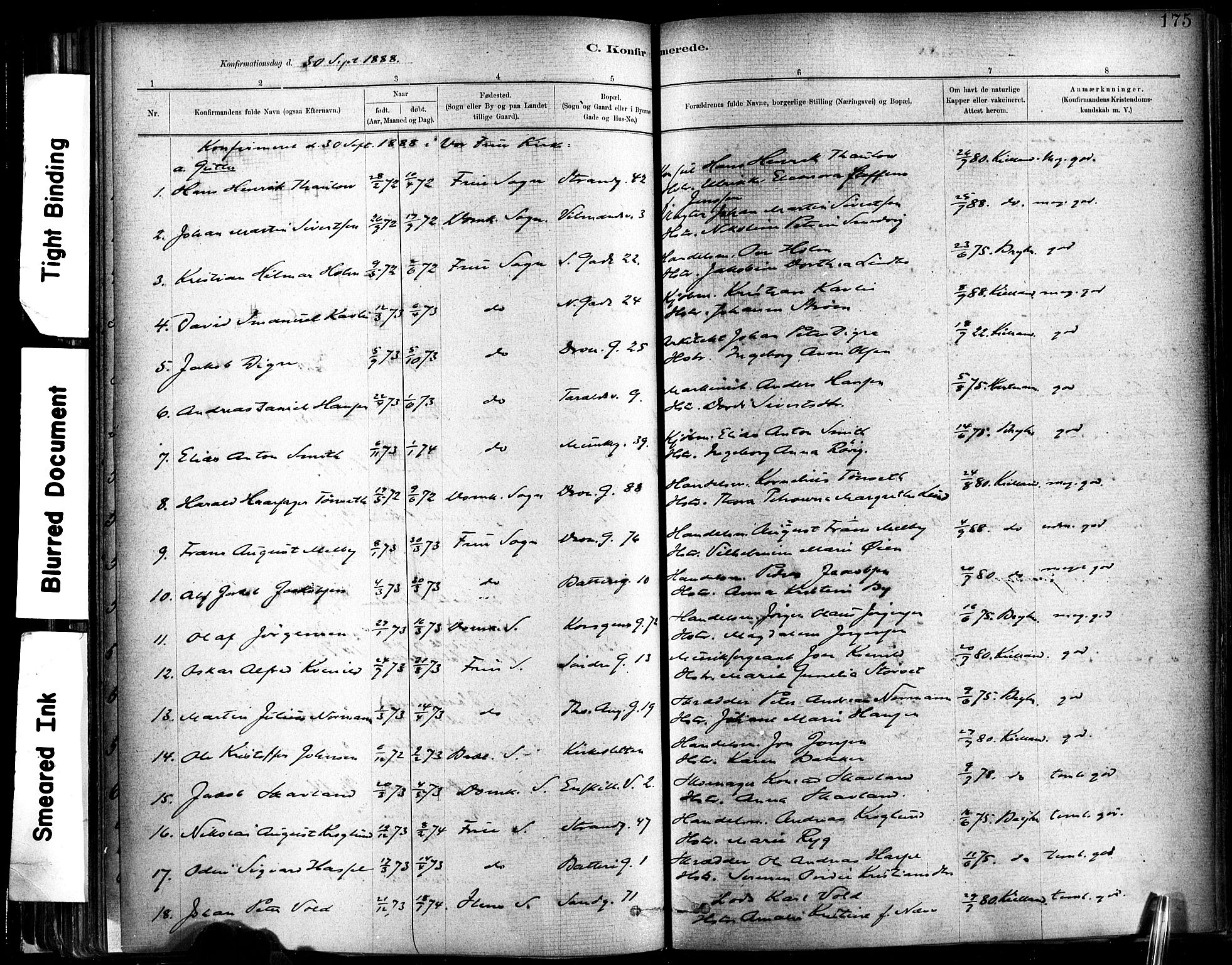 Ministerialprotokoller, klokkerbøker og fødselsregistre - Sør-Trøndelag, SAT/A-1456/602/L0119: Ministerialbok nr. 602A17, 1880-1901, s. 175