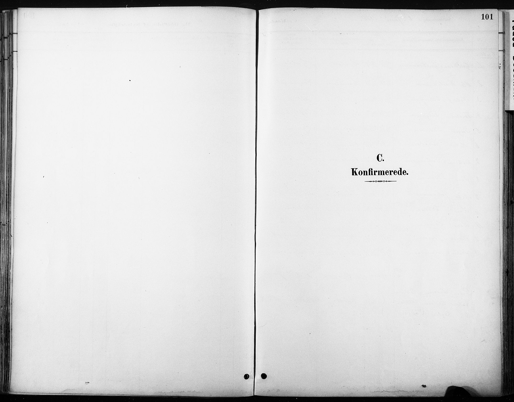 Nore kirkebøker, SAKO/A-238/F/Fb/L0002: Ministerialbok nr. II 2, 1886-1906, s. 101