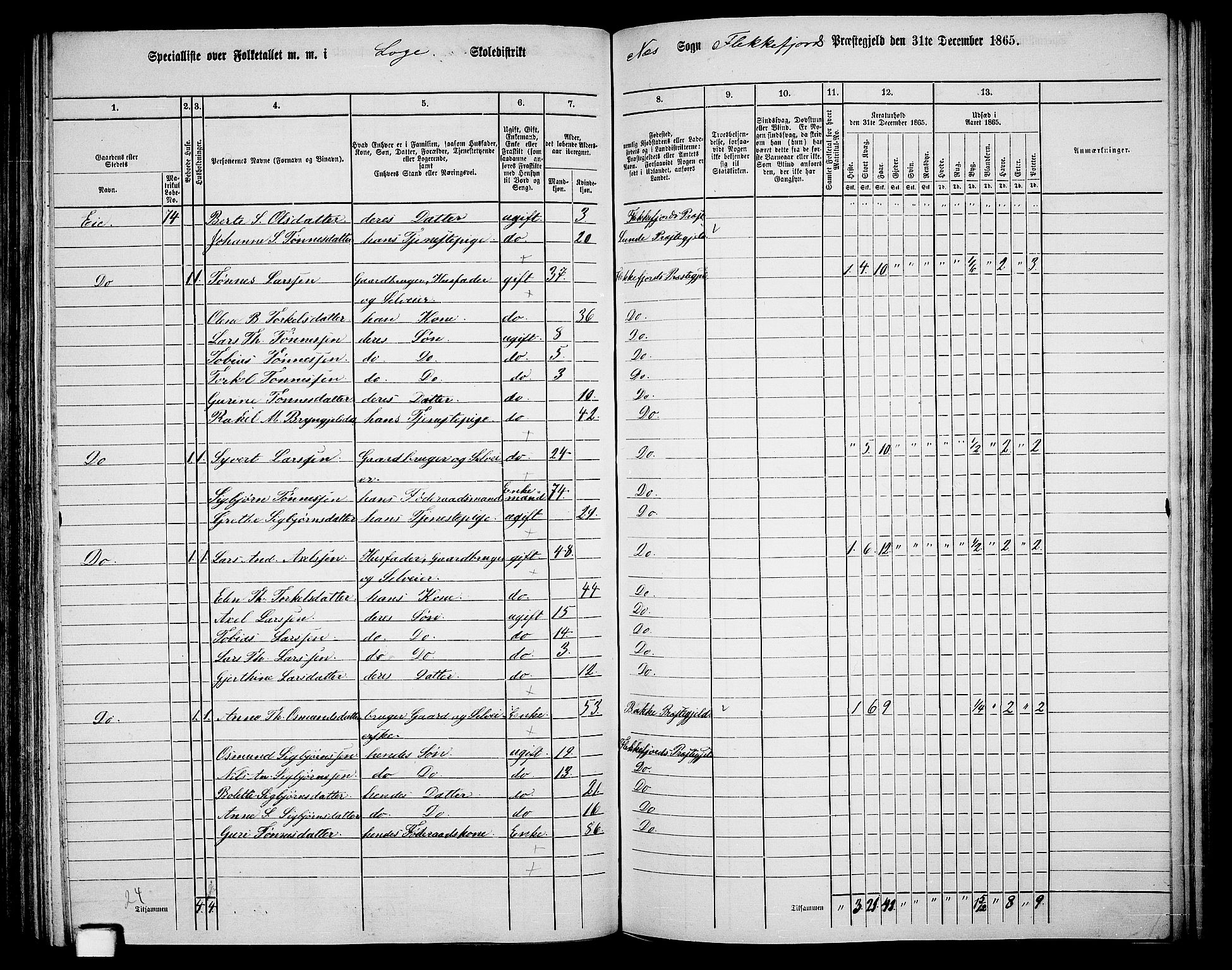 RA, Folketelling 1865 for 1042L Flekkefjord prestegjeld, Nes sokn og Hidra sokn, 1865, s. 123