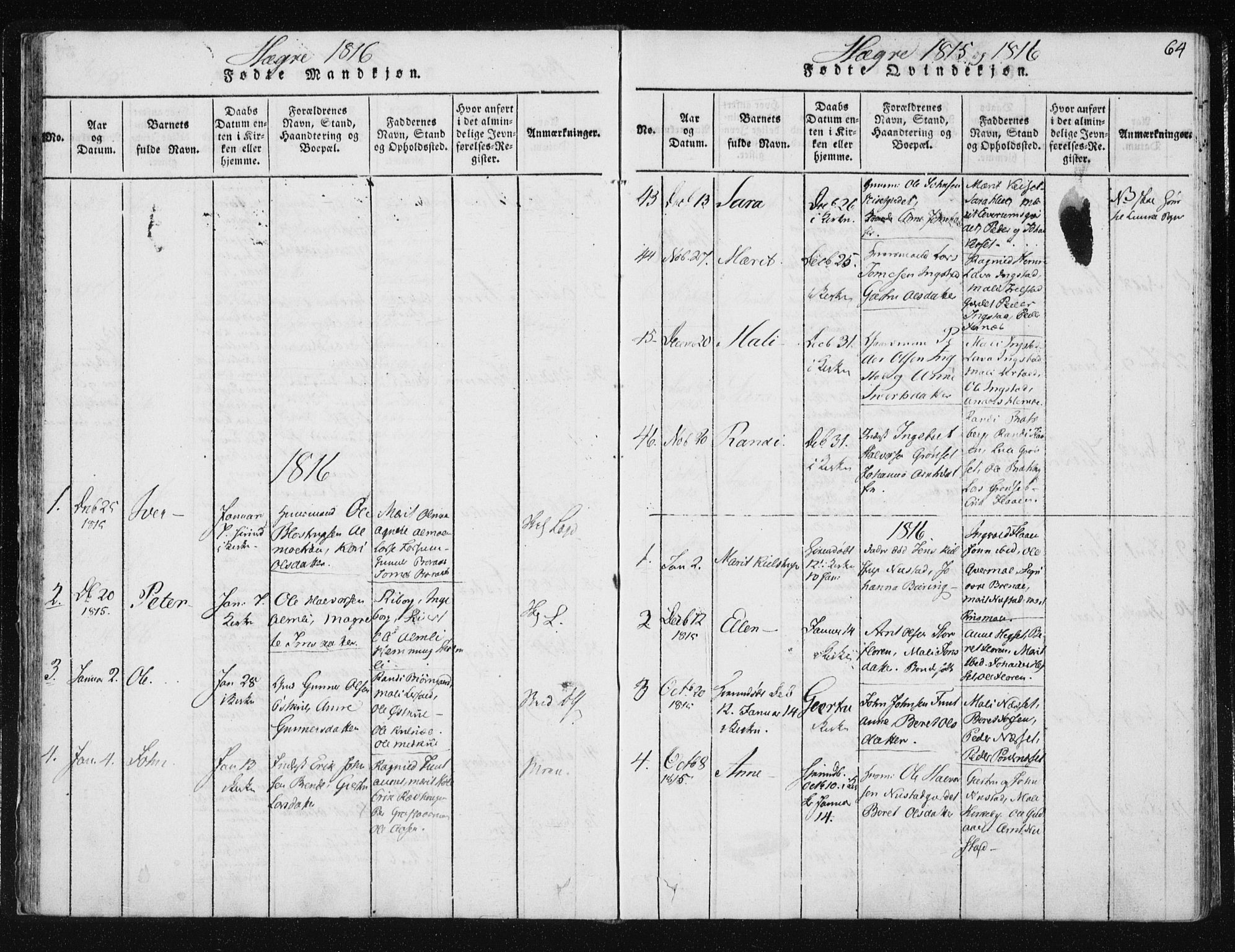 Ministerialprotokoller, klokkerbøker og fødselsregistre - Nord-Trøndelag, AV/SAT-A-1458/709/L0061: Ministerialbok nr. 709A08 /4, 1815-1819, s. 64