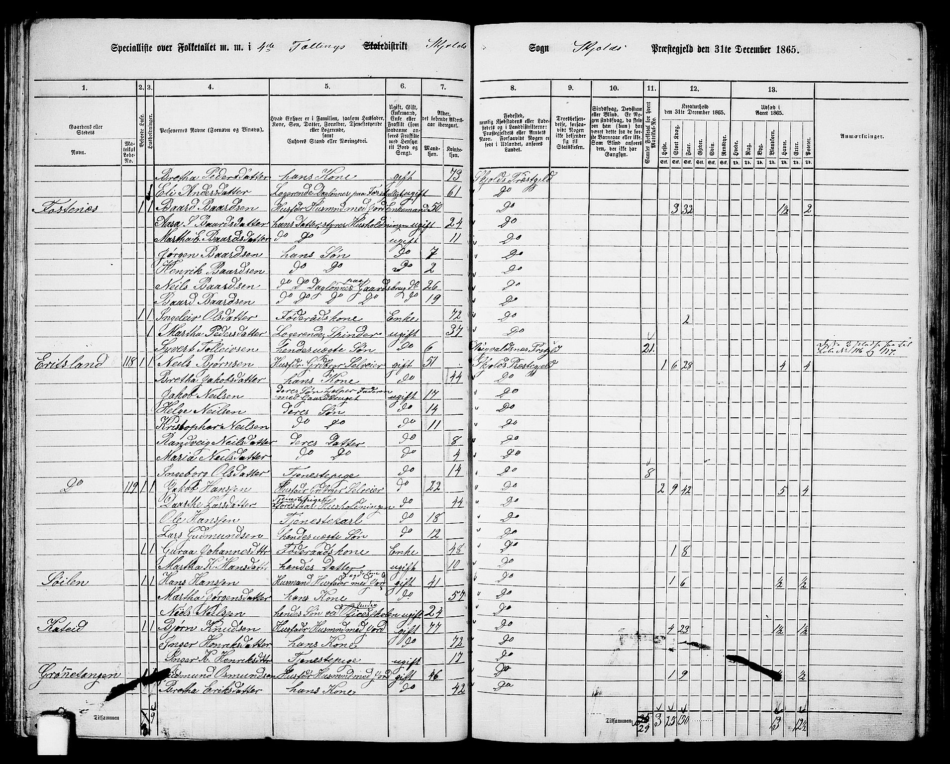 RA, Folketelling 1865 for 1154P Skjold prestegjeld, 1865, s. 57
