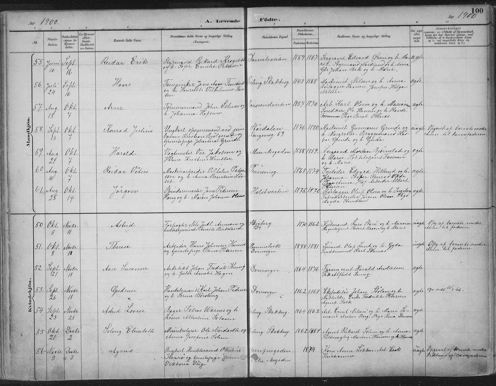 Ministerialprotokoller, klokkerbøker og fødselsregistre - Sør-Trøndelag, SAT/A-1456/601/L0062: Ministerialbok nr. 601A30, 1891-1911, s. 100
