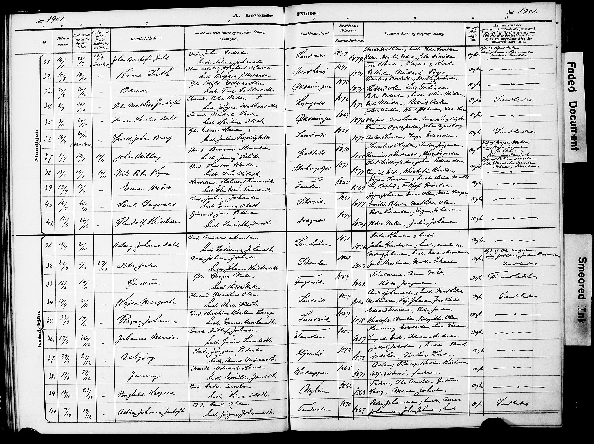 Ministerialprotokoller, klokkerbøker og fødselsregistre - Nordland, AV/SAT-A-1459/834/L0514: Klokkerbok nr. 834C05, 1893-1901