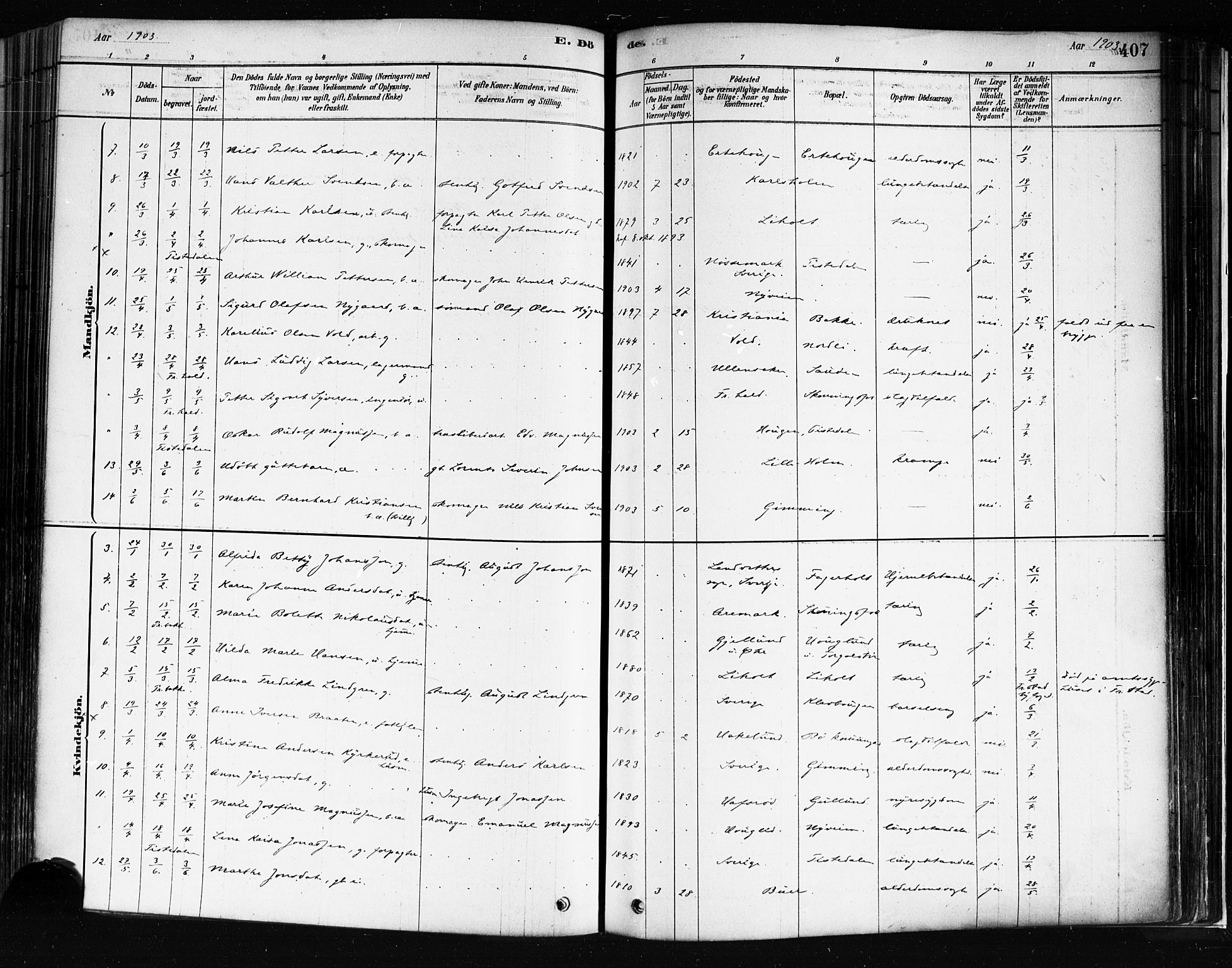 Idd prestekontor Kirkebøker, SAO/A-10911/F/Fc/L0006b: Ministerialbok nr. III 6B, 1878-1903, s. 407