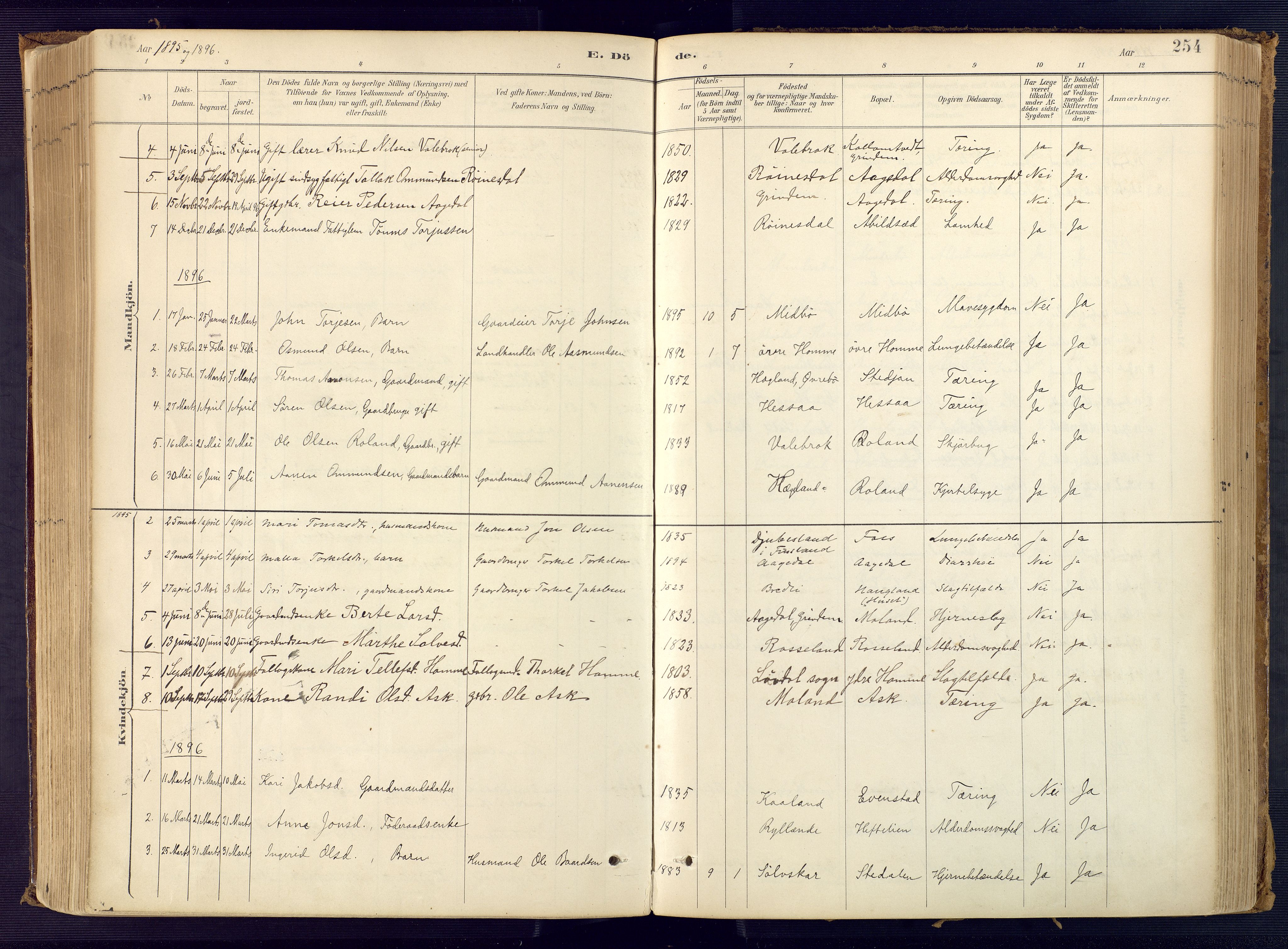 Bjelland sokneprestkontor, SAK/1111-0005/F/Fa/Faa/L0004: Ministerialbok nr. A 4, 1887-1923, s. 254