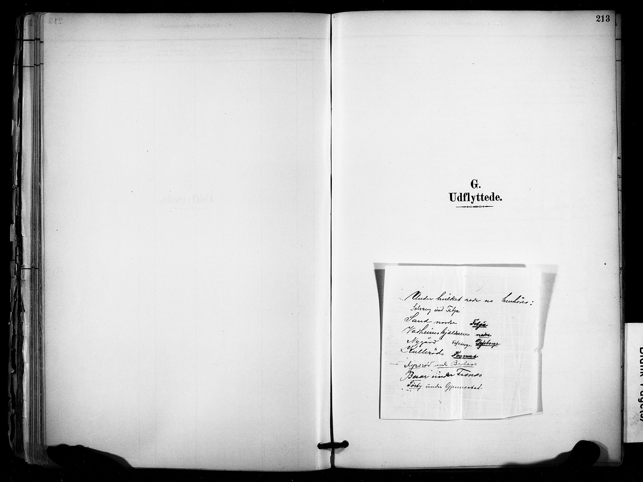 Stokke kirkebøker, SAKO/A-320/F/Fb/L0001: Ministerialbok nr. II 1, 1884-1910, s. 213