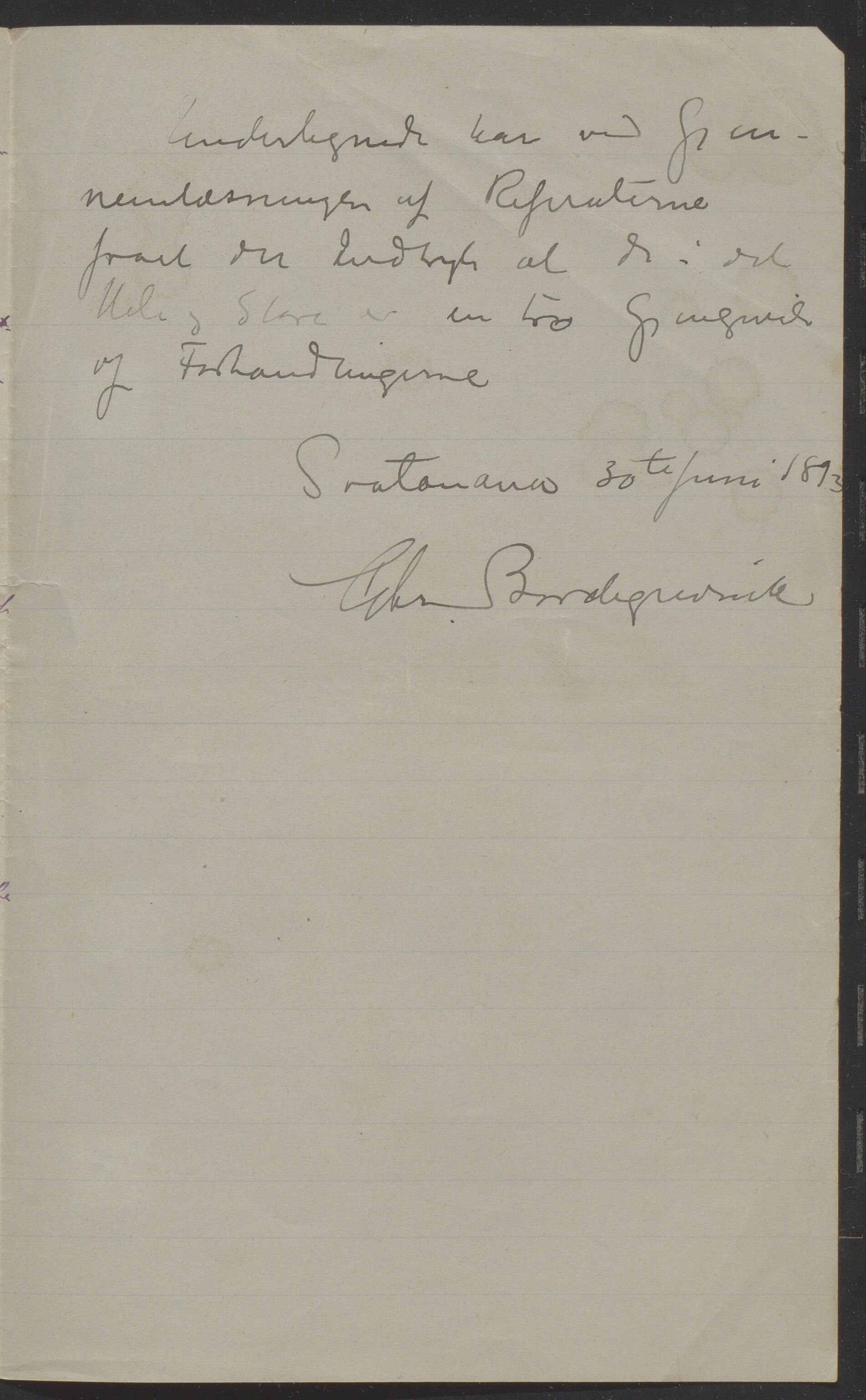 Det Norske Misjonsselskap - hovedadministrasjonen, VID/MA-A-1045/D/Da/Daa/L0039/0007: Konferansereferat og årsberetninger / Konferansereferat fra Madagaskar Innland., 1893