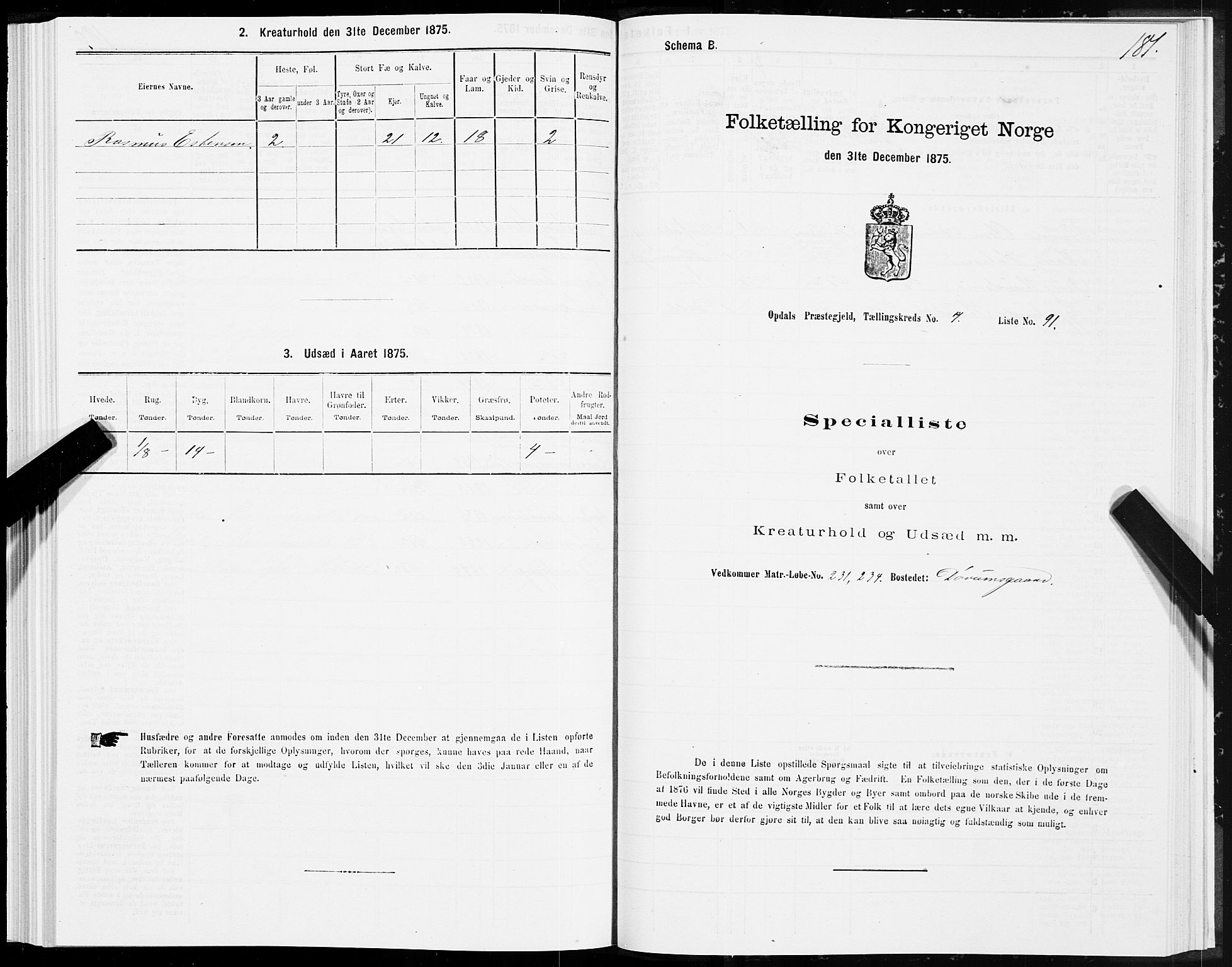 SAT, Folketelling 1875 for 1634P Oppdal prestegjeld, 1875, s. 4181
