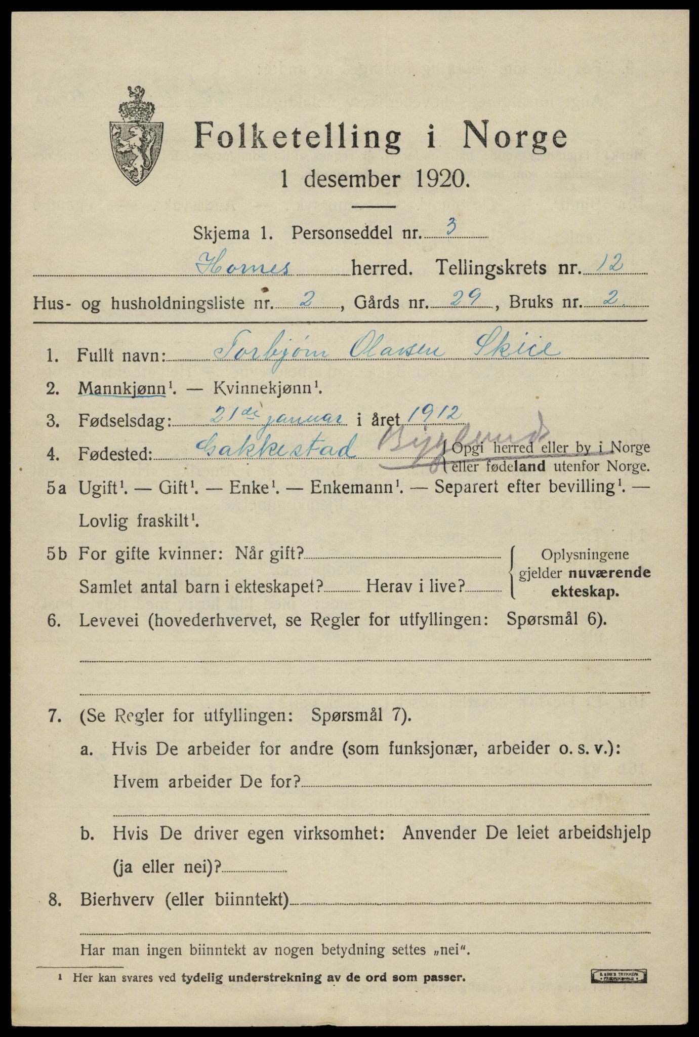 SAK, Folketelling 1920 for 0936 Hornnes herred, 1920, s. 2891