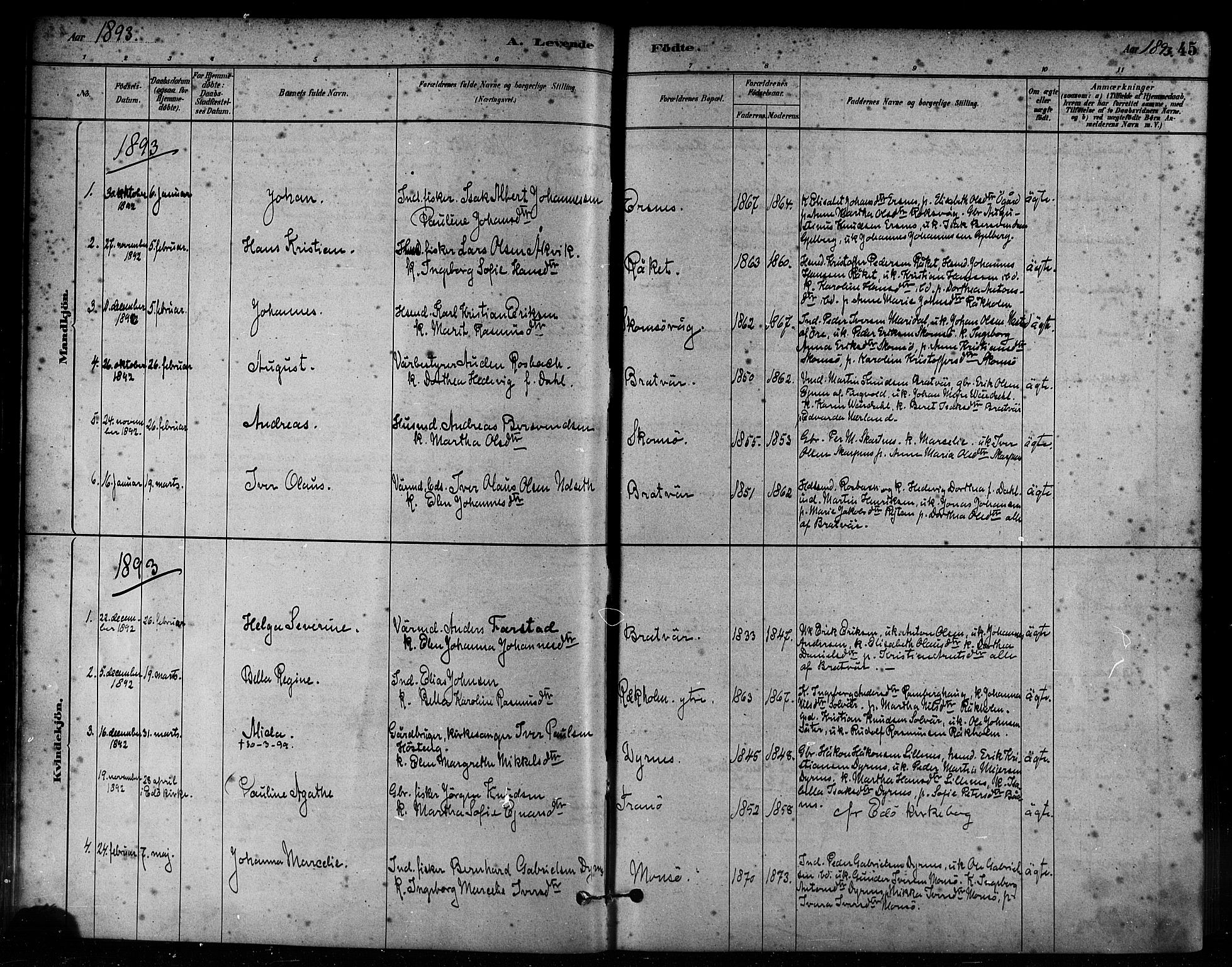 Ministerialprotokoller, klokkerbøker og fødselsregistre - Møre og Romsdal, SAT/A-1454/582/L0947: Ministerialbok nr. 582A01, 1880-1900, s. 45