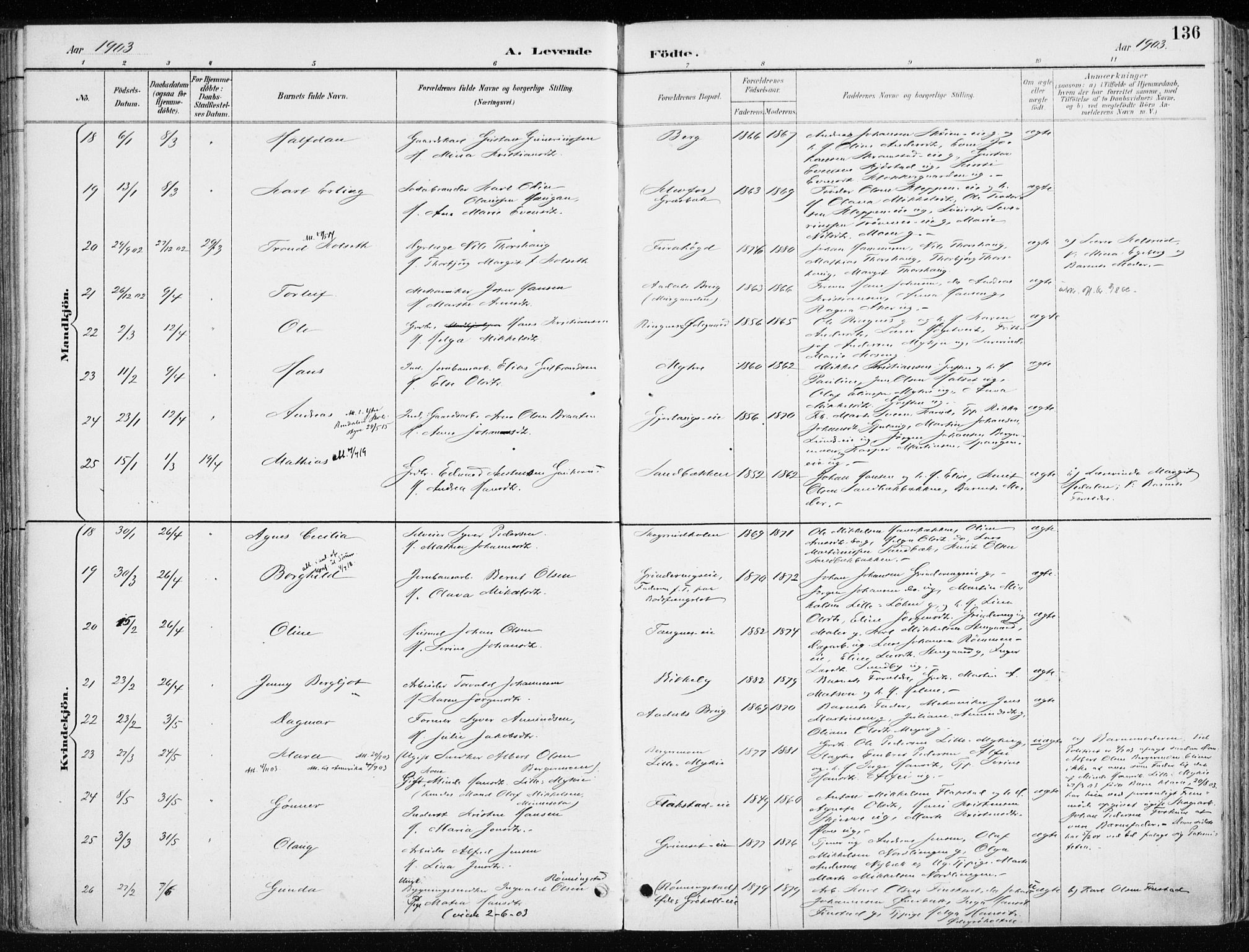 Løten prestekontor, AV/SAH-PREST-022/K/Ka/L0010: Ministerialbok nr. 10, 1892-1907, s. 136