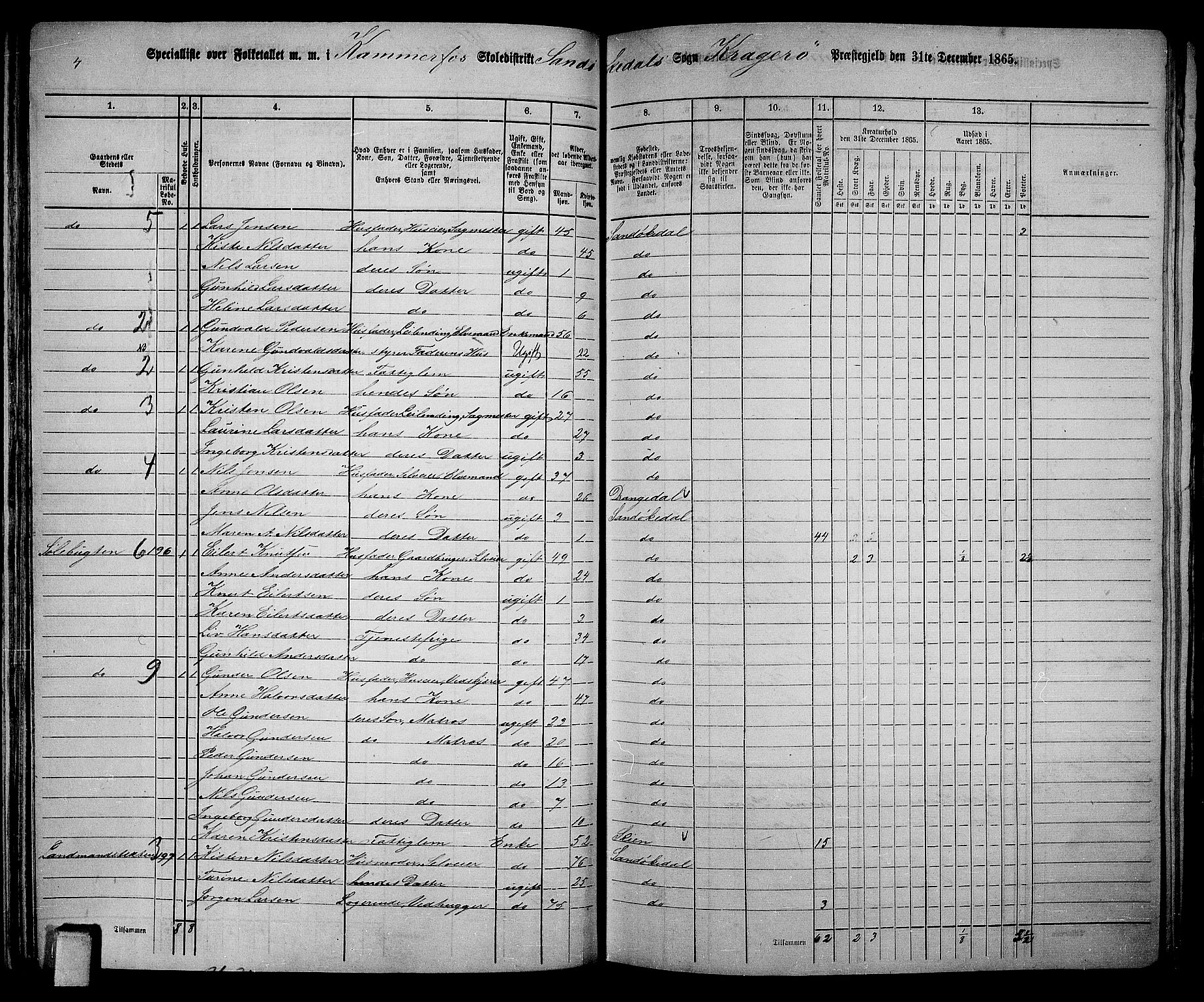 RA, Folketelling 1865 for 0816L Kragerø prestegjeld, Sannidal sokn og Skåtøy sokn, 1865, s. 81