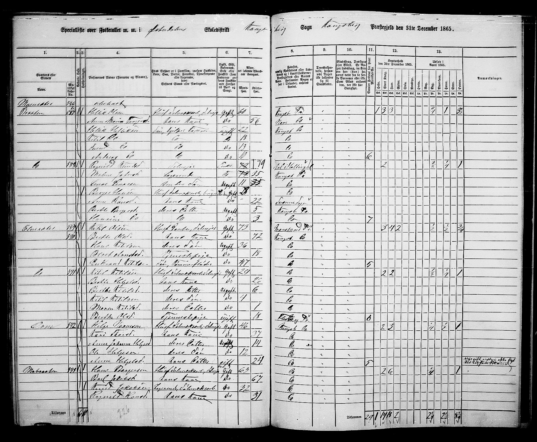 RA, Folketelling 1865 for 0692L Kongsberg prestegjeld, Kongsberg landsokn, 1865, s. 11