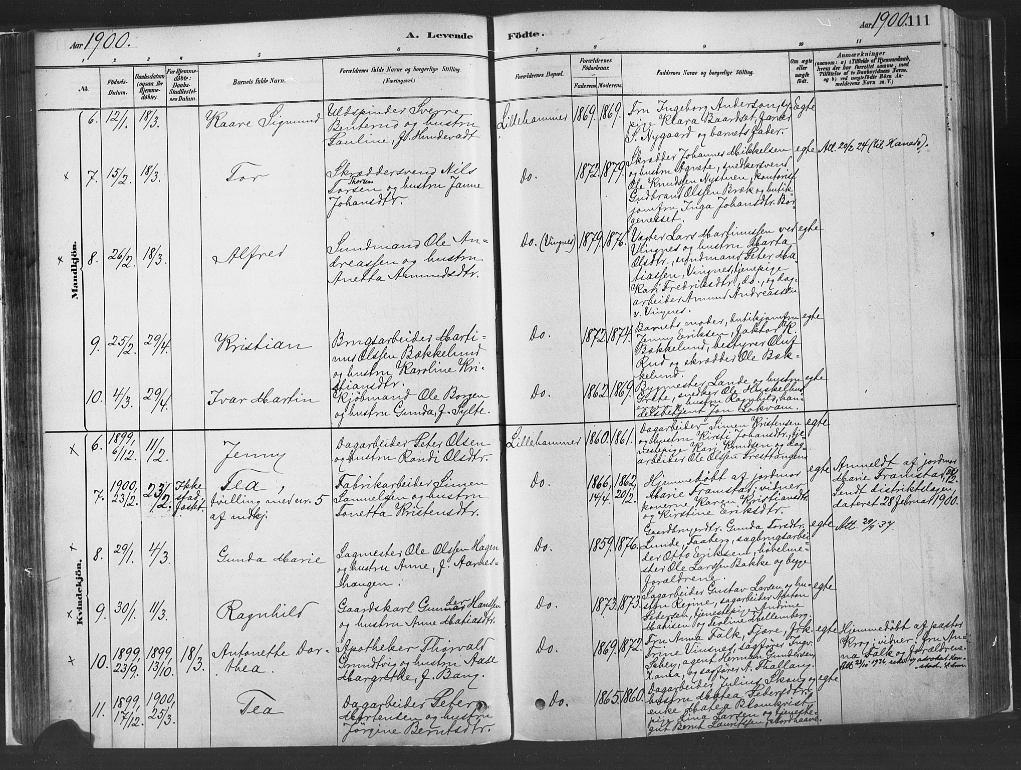 Fåberg prestekontor, AV/SAH-PREST-086/H/Ha/Haa/L0010: Ministerialbok nr. 10, 1879-1900, s. 111