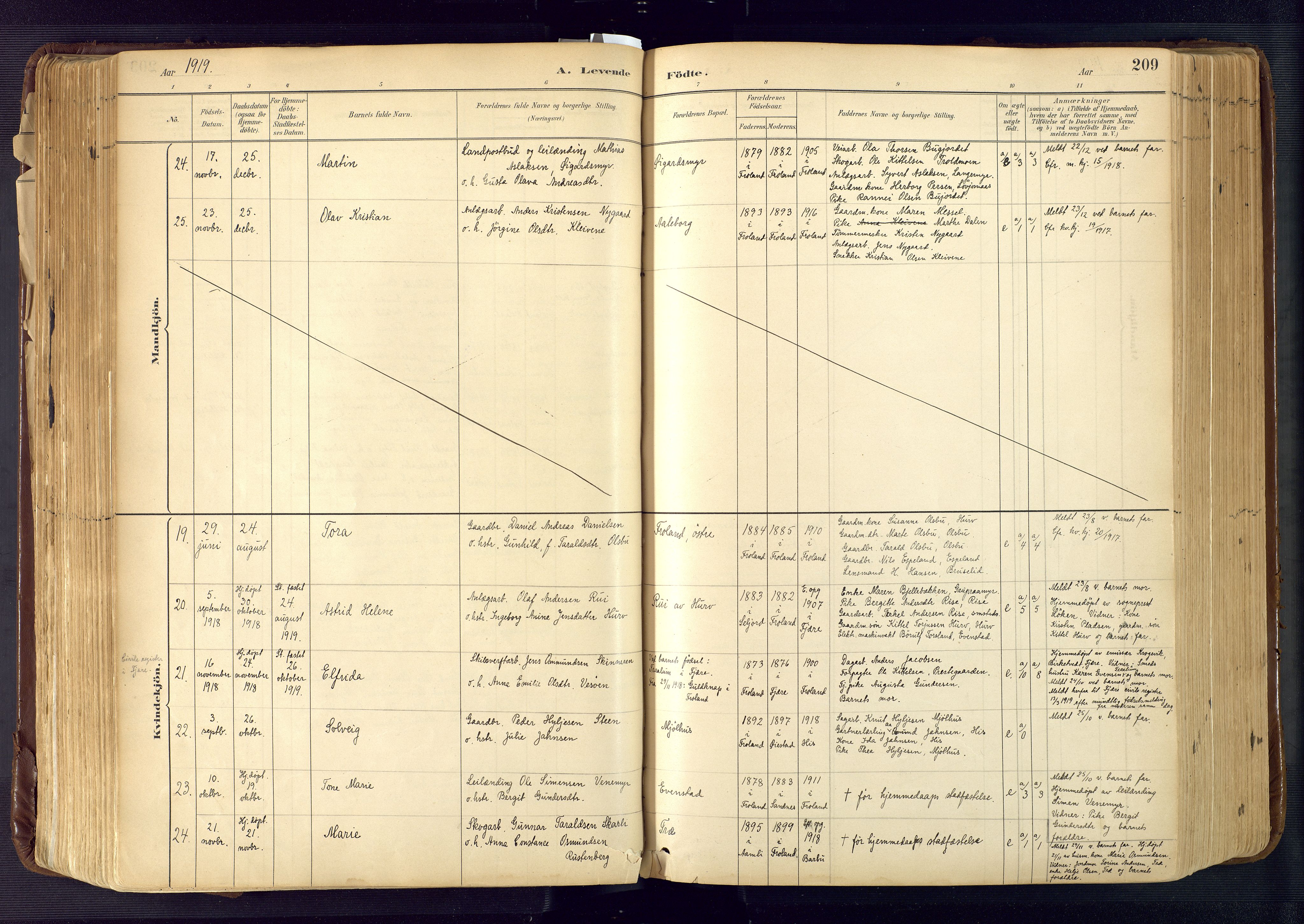 Froland sokneprestkontor, AV/SAK-1111-0013/F/Fa/L0005: Ministerialbok nr. A 5, 1882-1921, s. 209