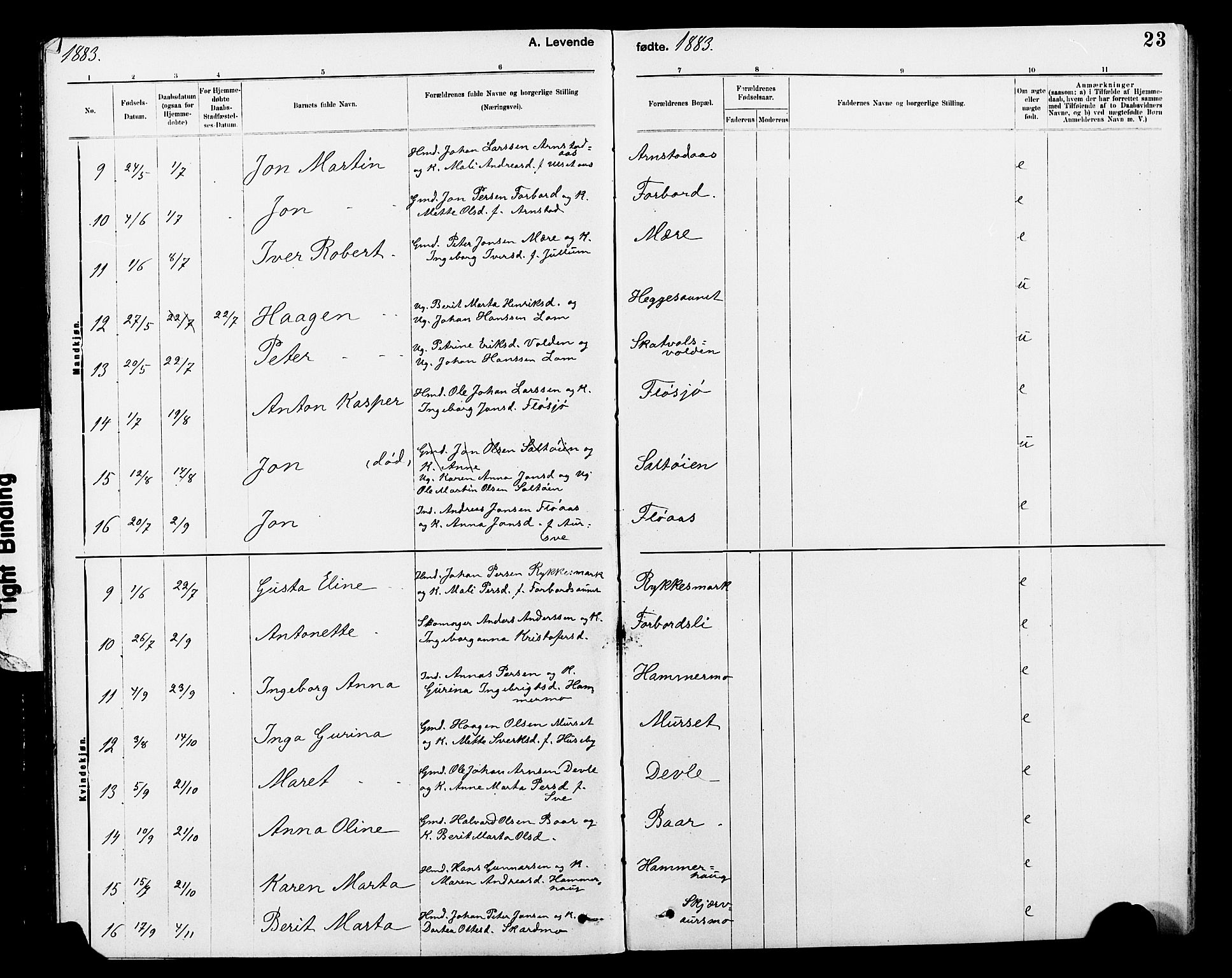Ministerialprotokoller, klokkerbøker og fødselsregistre - Nord-Trøndelag, SAT/A-1458/712/L0103: Klokkerbok nr. 712C01, 1878-1917, s. 23