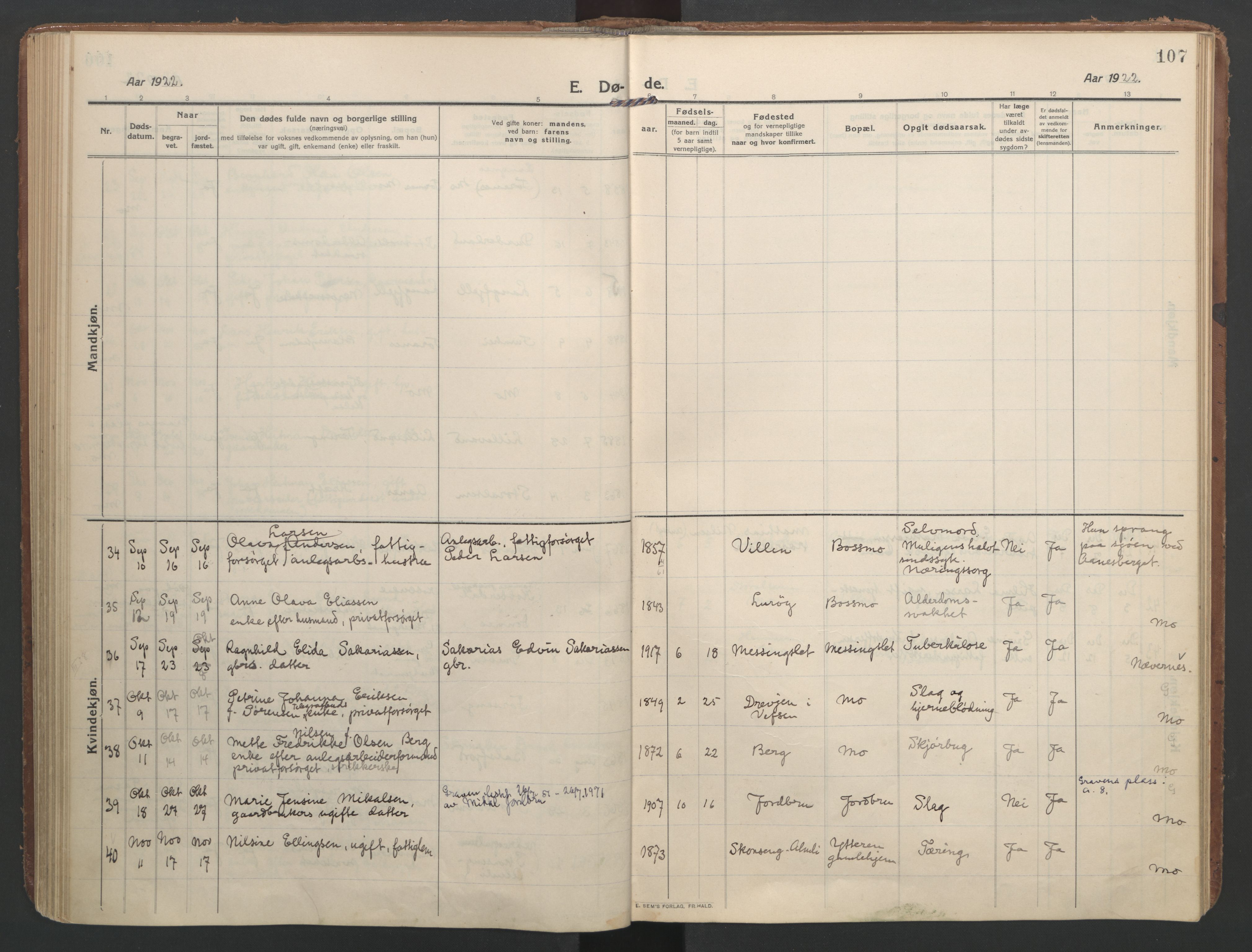 Ministerialprotokoller, klokkerbøker og fødselsregistre - Nordland, AV/SAT-A-1459/827/L0405: Ministerialbok nr. 827A17, 1912-1925, s. 107