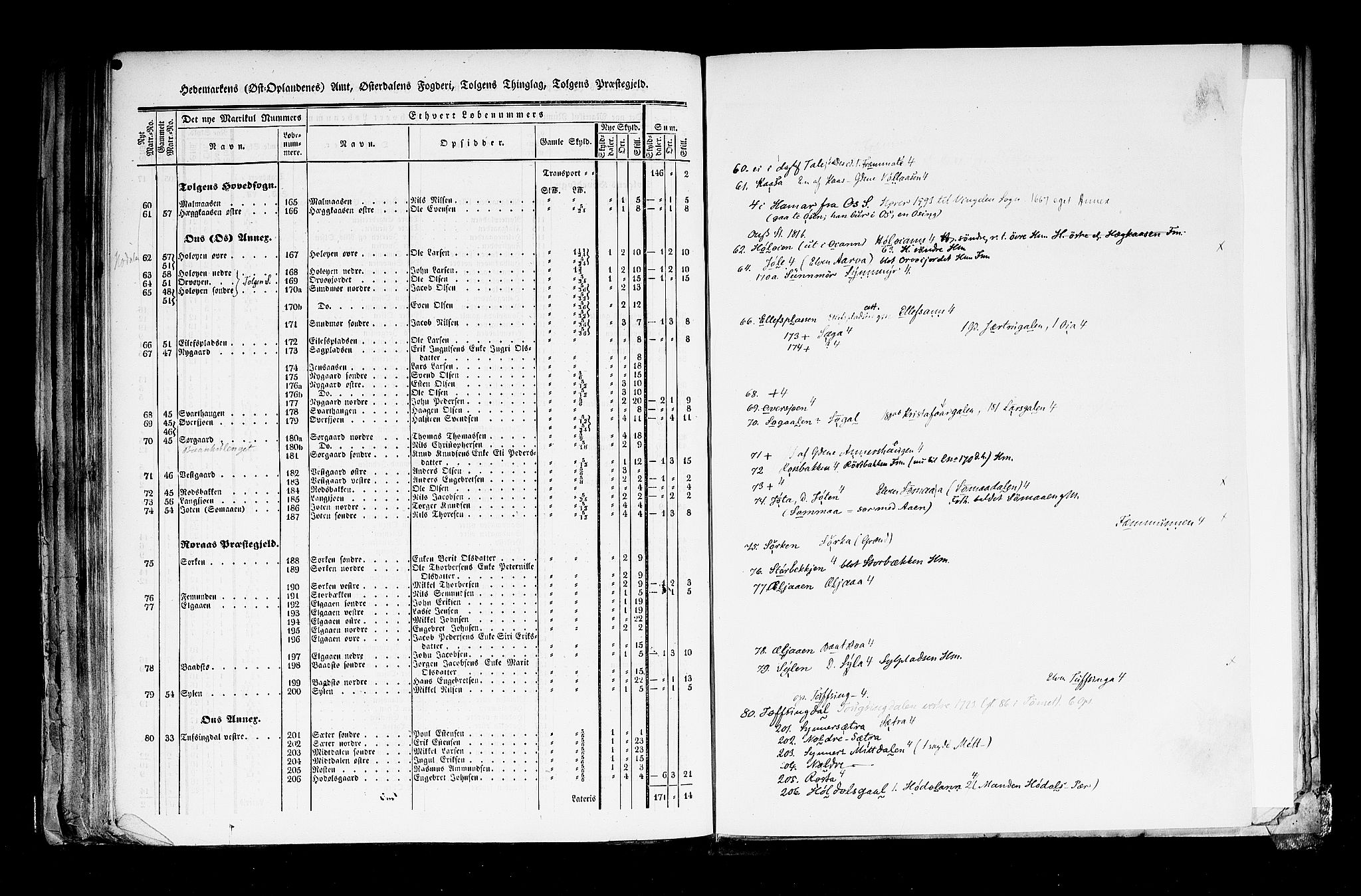 Rygh, AV/RA-PA-0034/F/Fb/L0003: Matrikkelen for 1838 - Hedemarken amt (Hedmark fylke), 1838