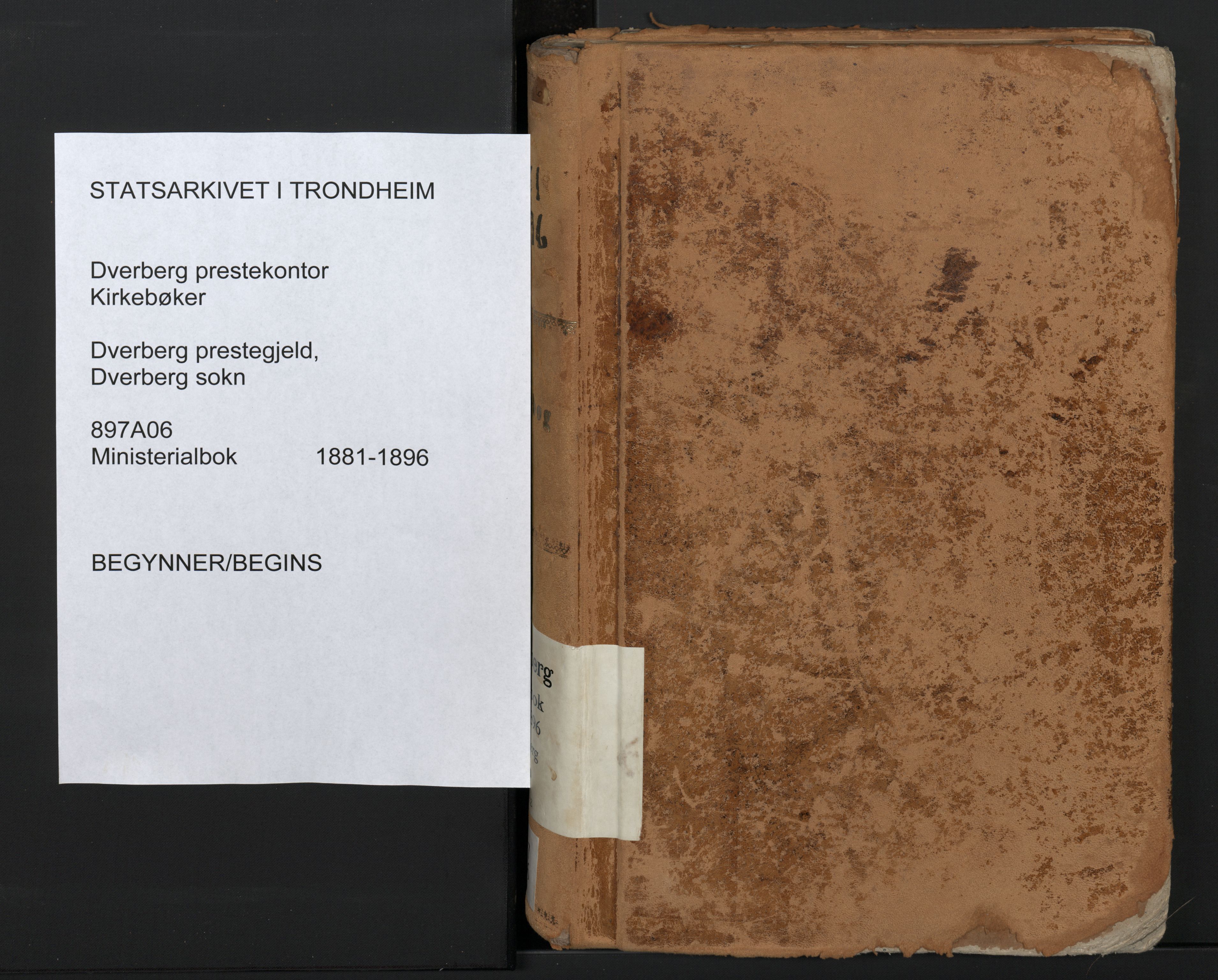 Ministerialprotokoller, klokkerbøker og fødselsregistre - Nordland, SAT/A-1459/897/L1399: Ministerialbok nr. 897A06, 1881-1896