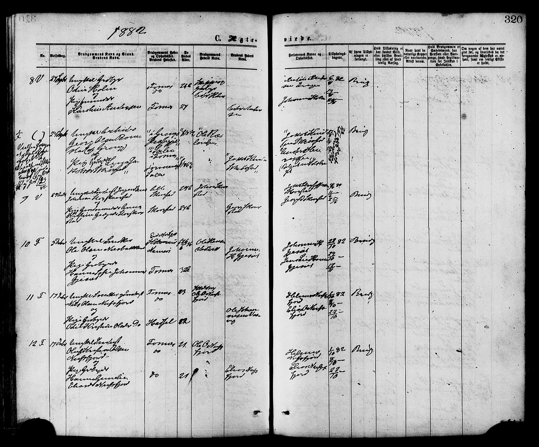 Ministerialprotokoller, klokkerbøker og fødselsregistre - Nord-Trøndelag, AV/SAT-A-1458/773/L0616: Ministerialbok nr. 773A07, 1870-1887, s. 320