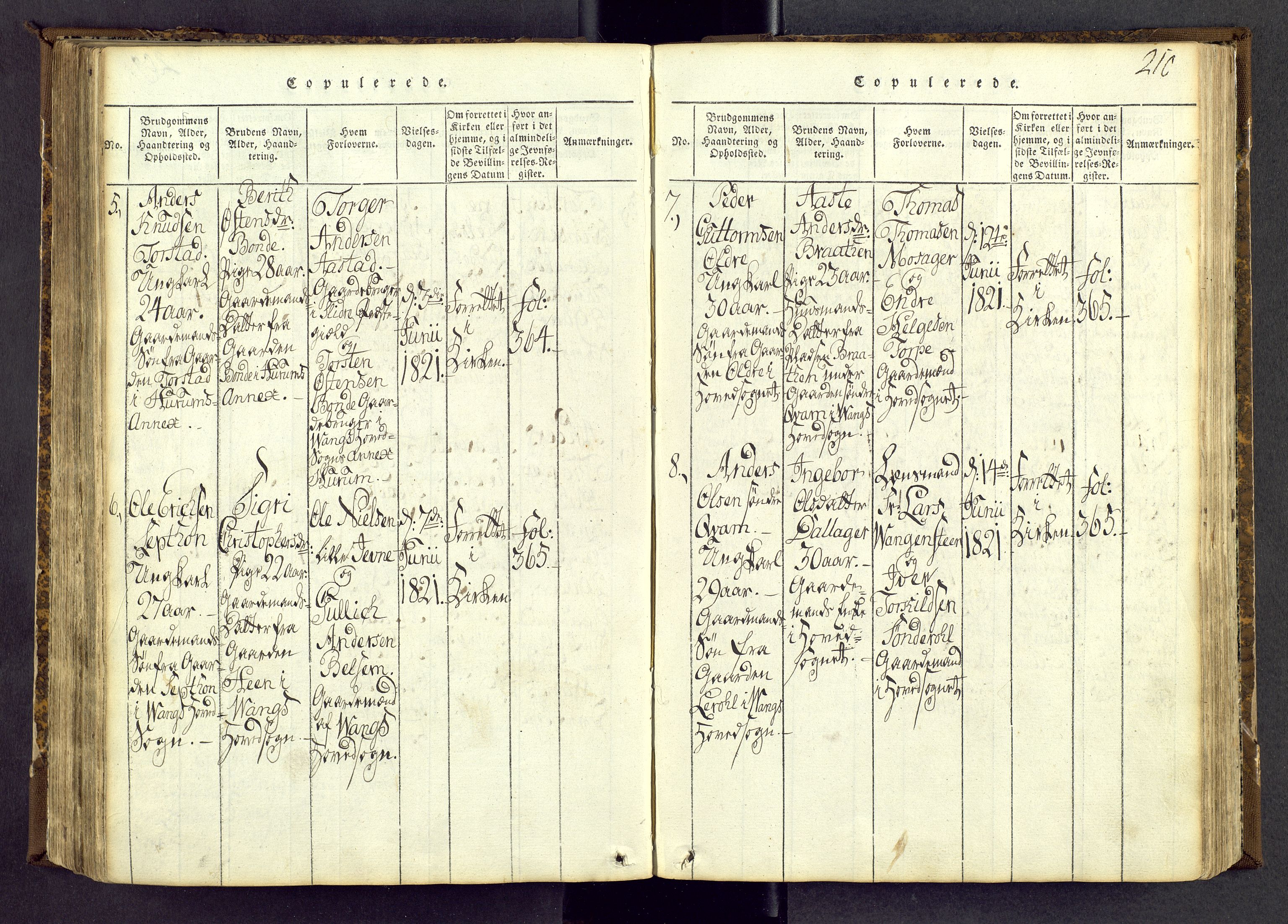 Vang prestekontor, Valdres, AV/SAH-PREST-140/H/Ha/L0004: Ministerialbok nr. 4, 1814-1831, s. 210