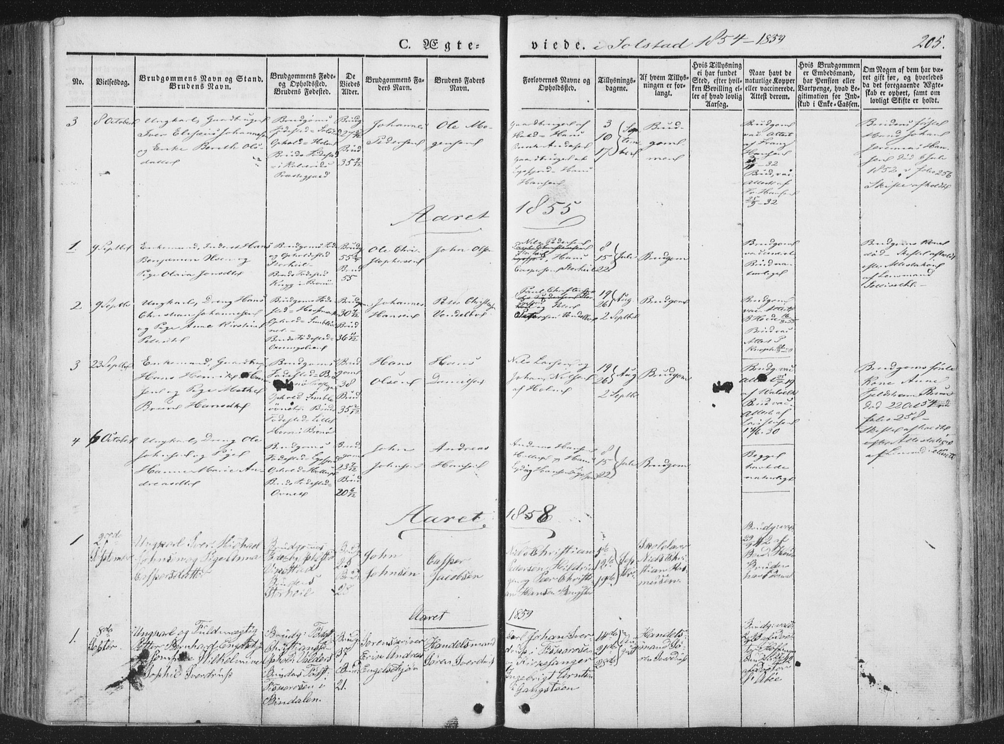 Ministerialprotokoller, klokkerbøker og fødselsregistre - Nordland, AV/SAT-A-1459/810/L0145: Ministerialbok nr. 810A07 /2, 1841-1862, s. 205