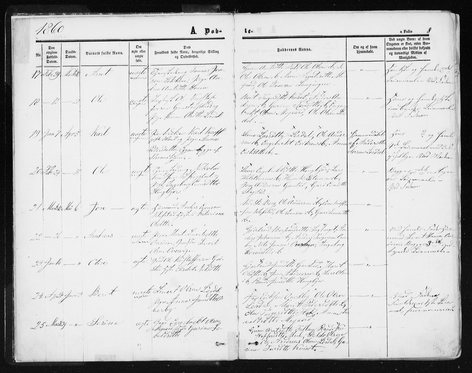 Ministerialprotokoller, klokkerbøker og fødselsregistre - Sør-Trøndelag, SAT/A-1456/612/L0377: Ministerialbok nr. 612A09, 1859-1877, s. 8
