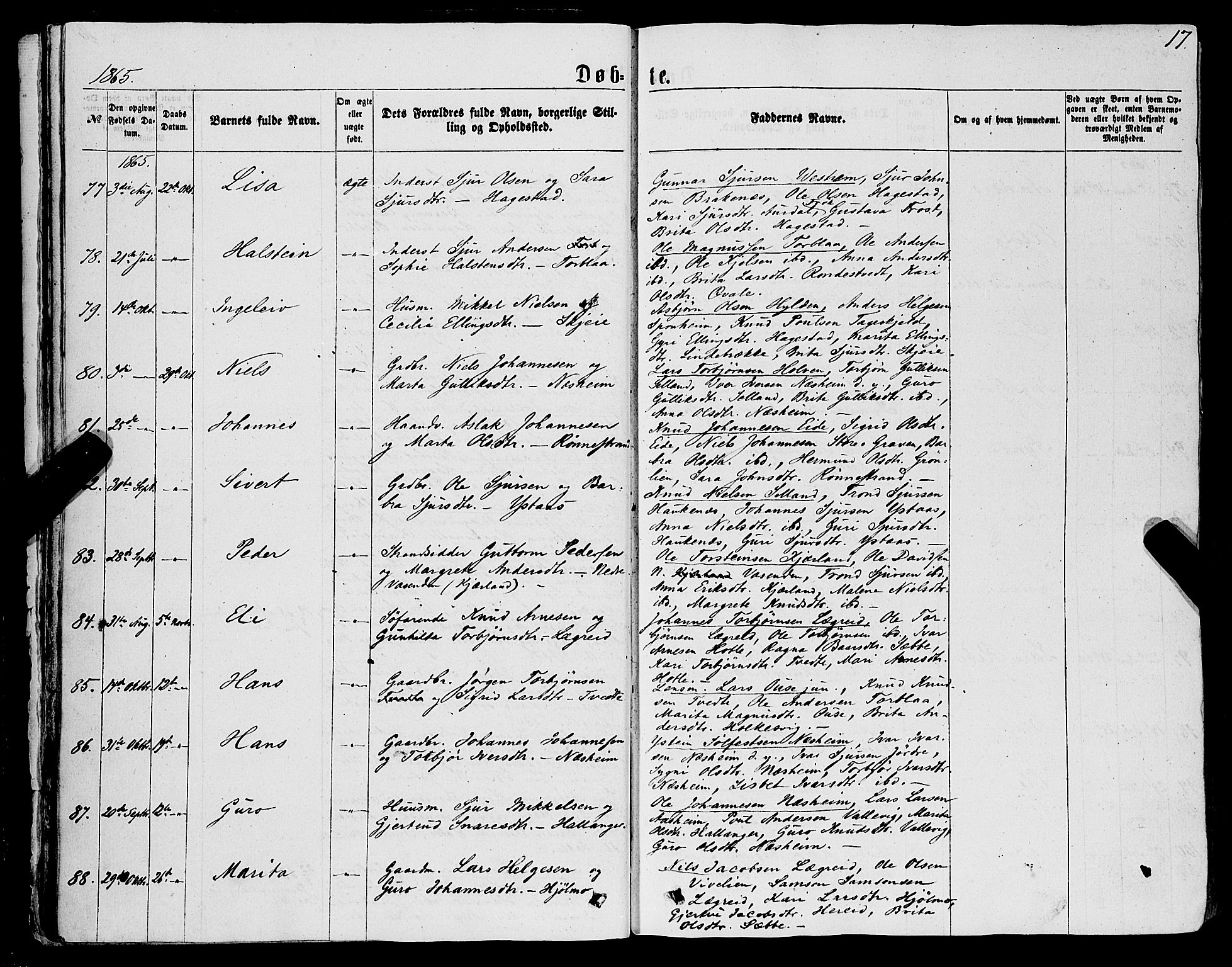 Ulvik sokneprestembete, AV/SAB-A-78801/H/Haa: Ministerialbok nr. A 15, 1864-1878, s. 17