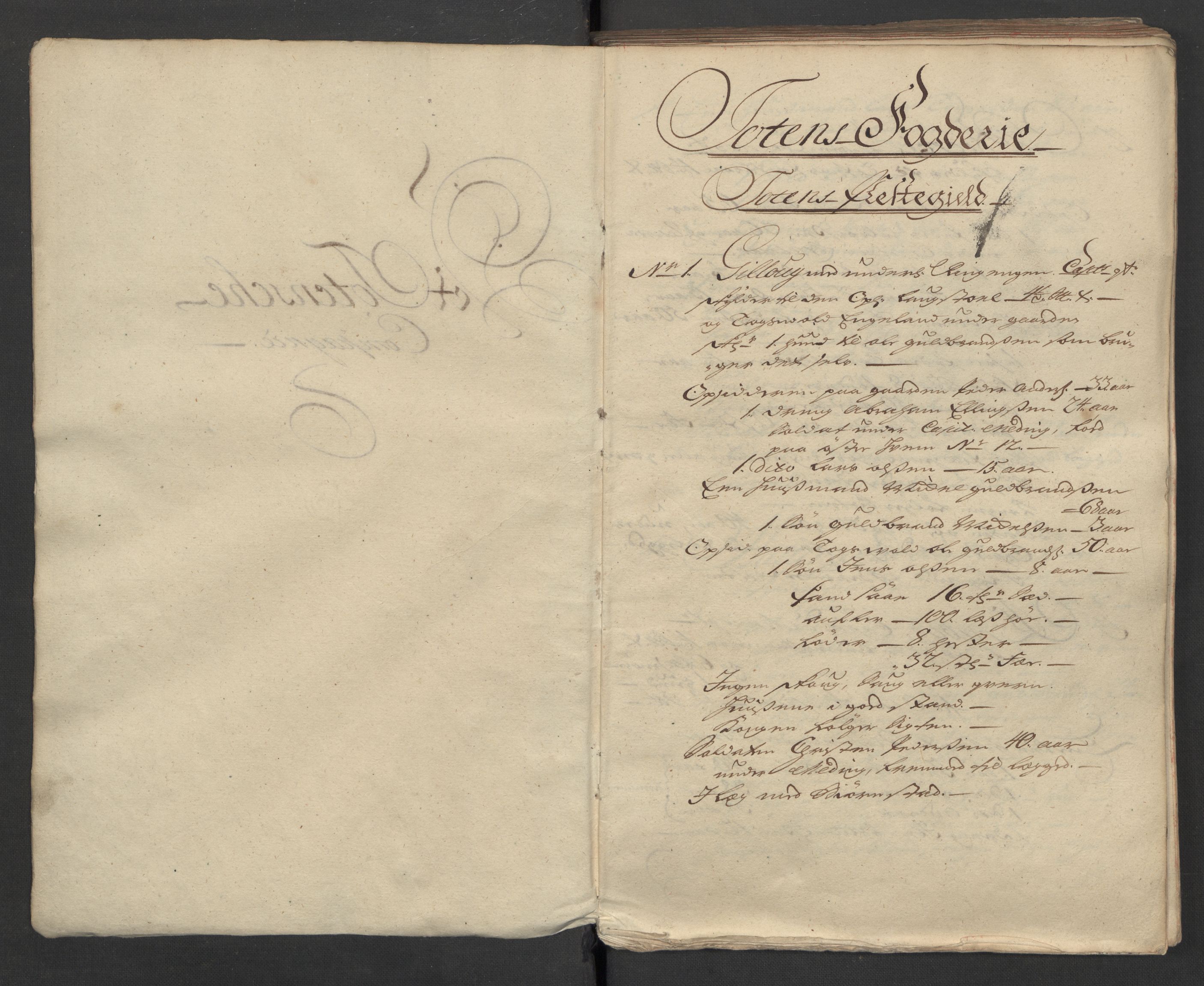 1. Sønnafjelske (Akershusiske) dragonregiment, AV/RA-EA-1760/F/L0032: Legdsruller for Totenske, Hedemarkske, Larvikske og Jarlsbergske kompanier, 1717, s. 5