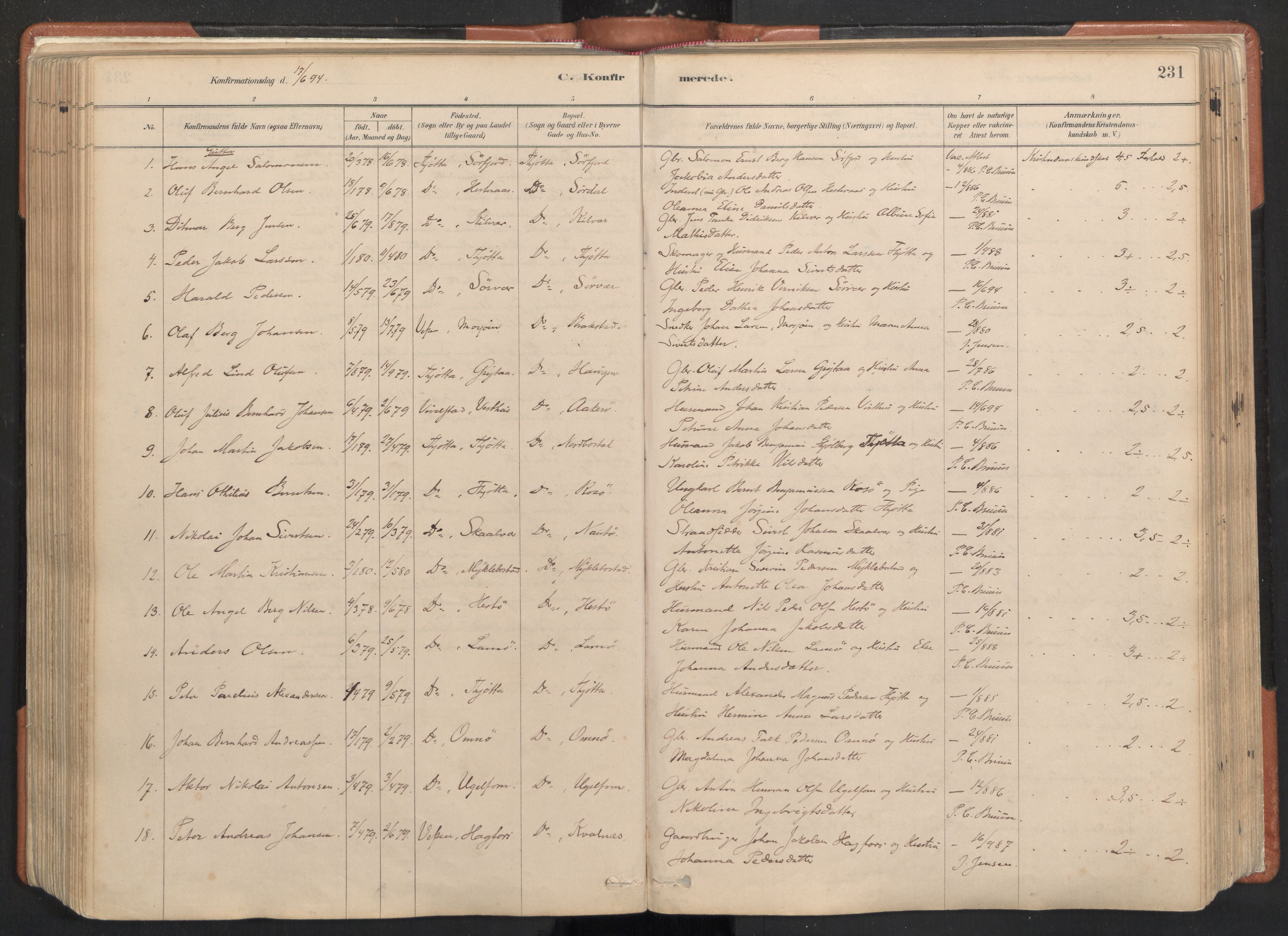 Ministerialprotokoller, klokkerbøker og fødselsregistre - Nordland, AV/SAT-A-1459/817/L0264: Ministerialbok nr. 817A04, 1878-1907, s. 231